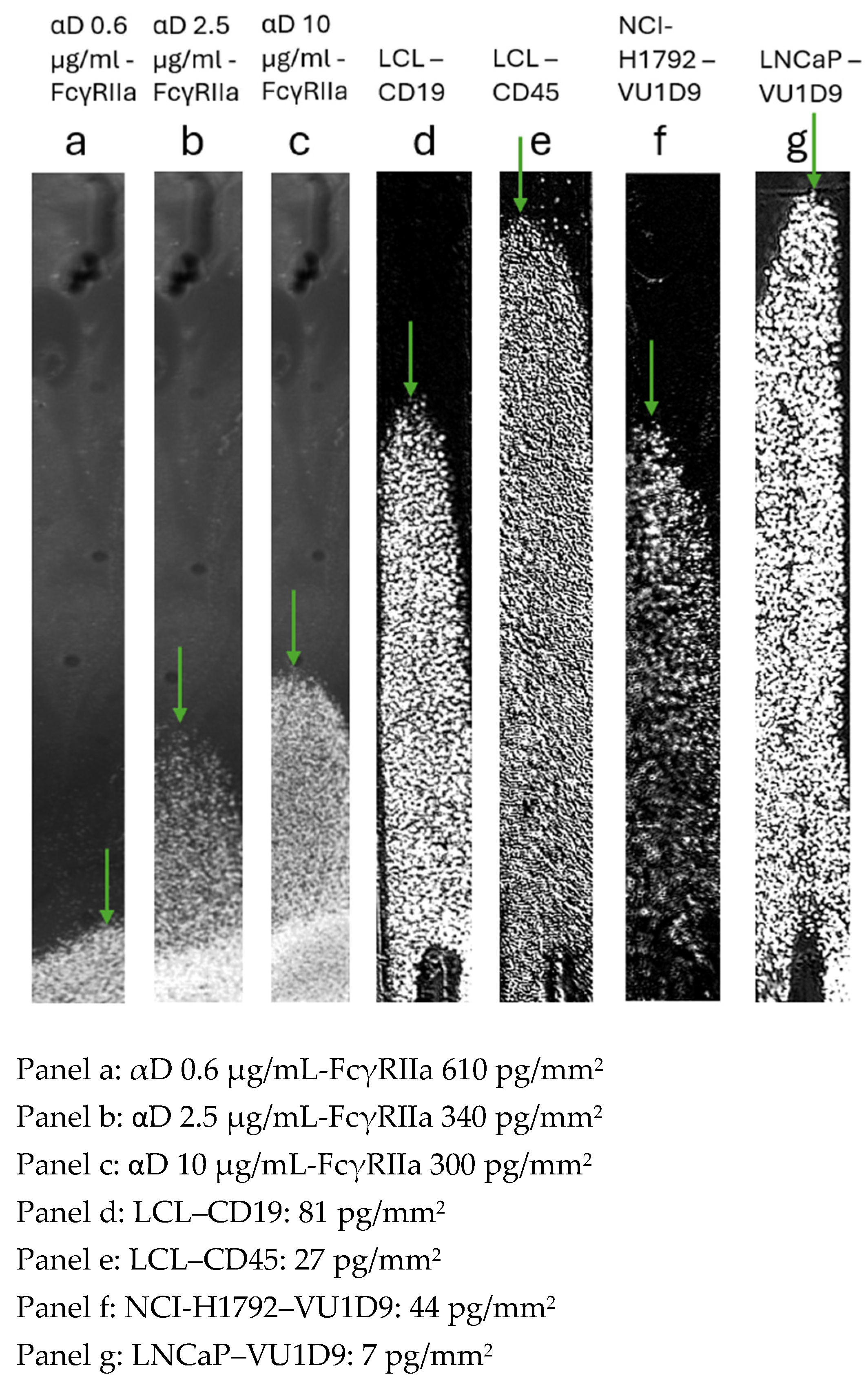 Biosensors 15 00559 g003