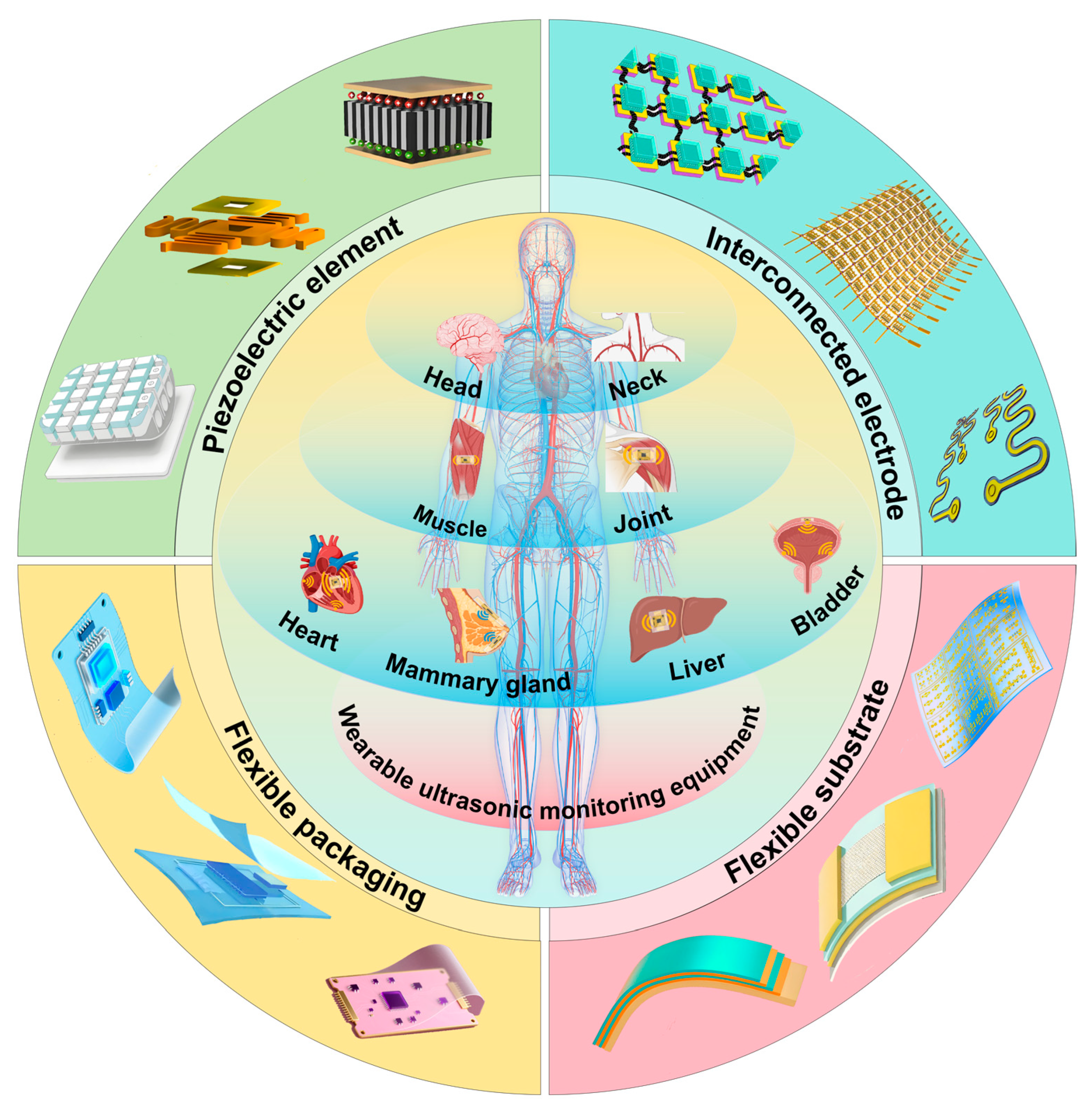 Biosensors 15 00561 g001