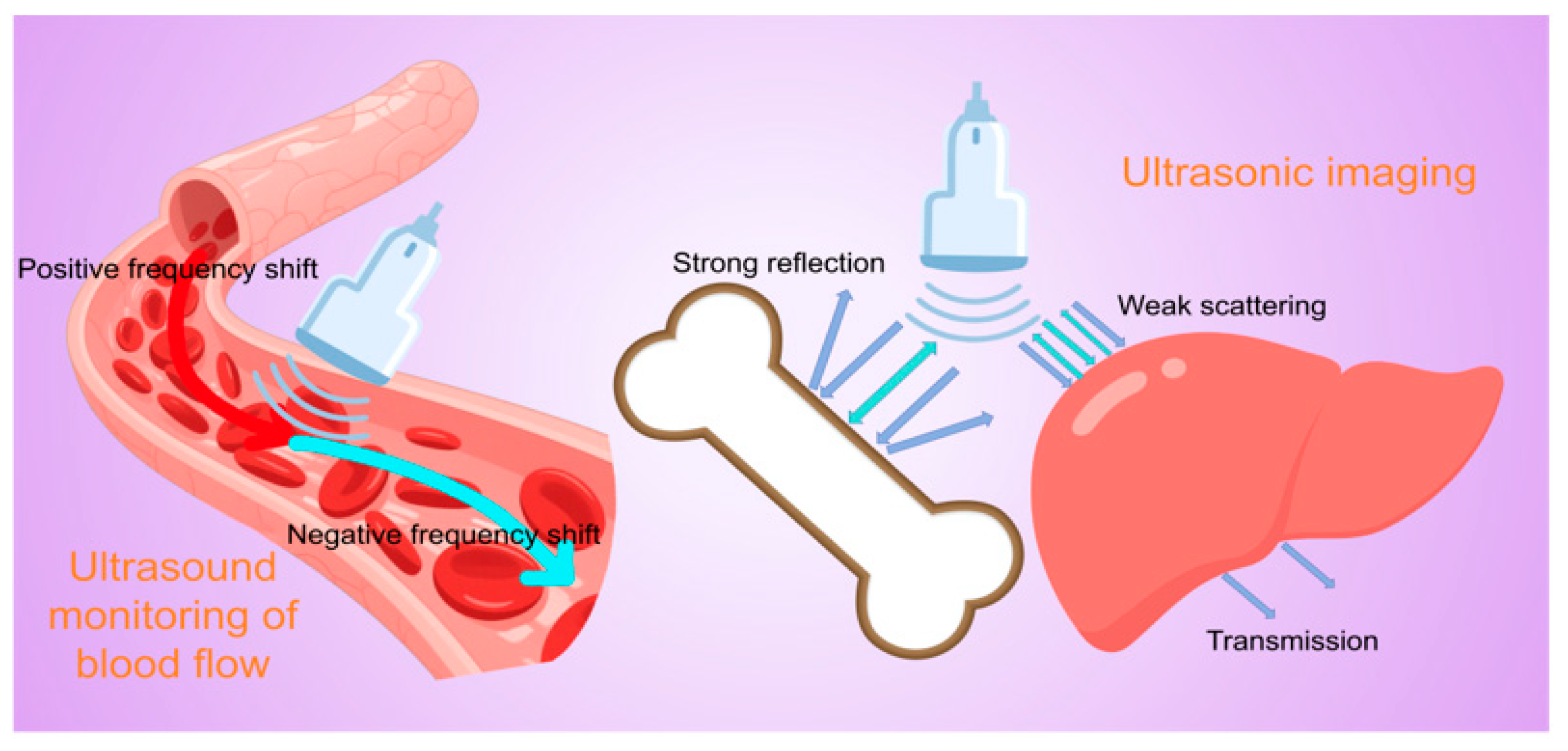 Biosensors 15 00561 g002