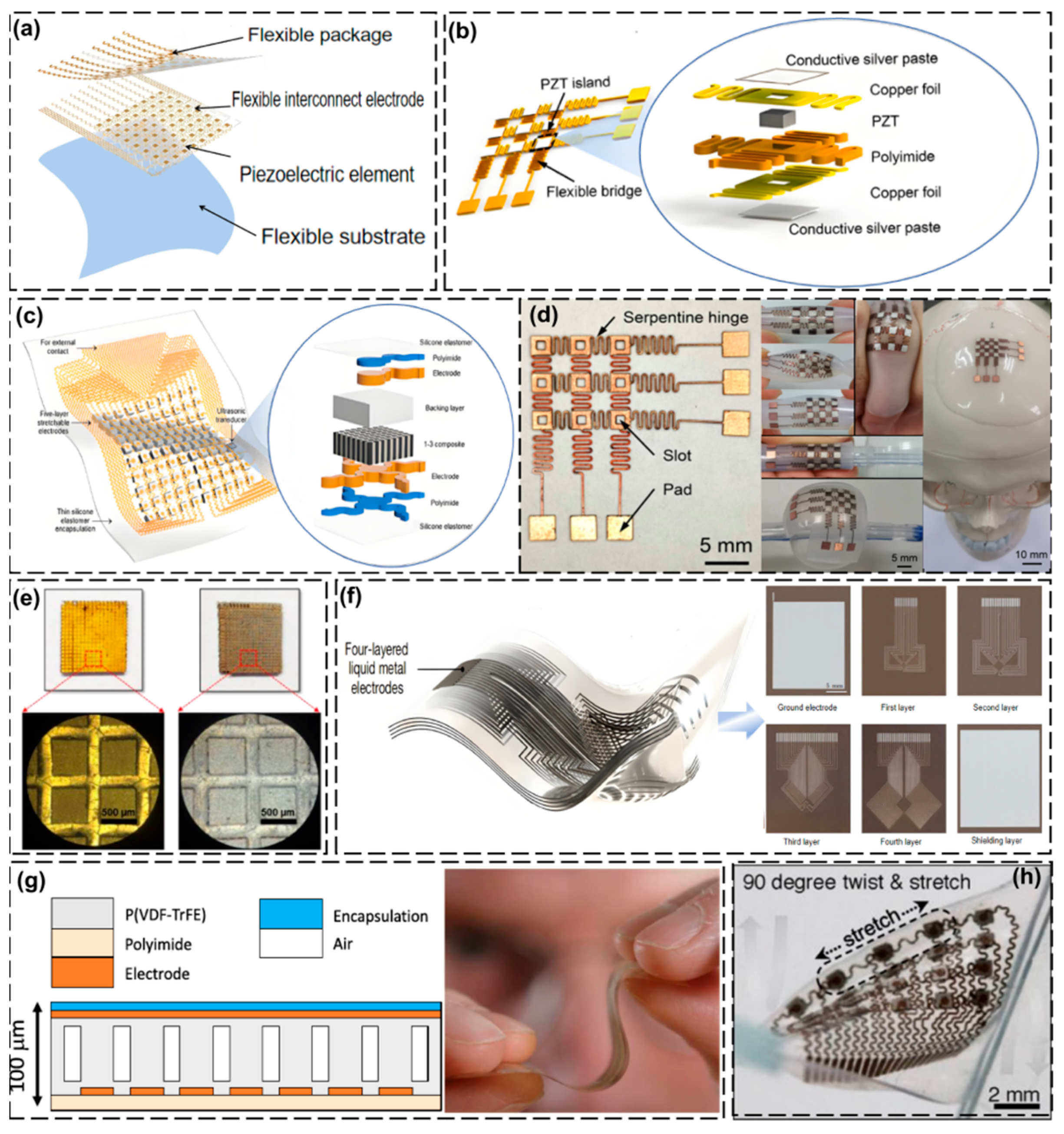 Biosensors 15 00561 g003