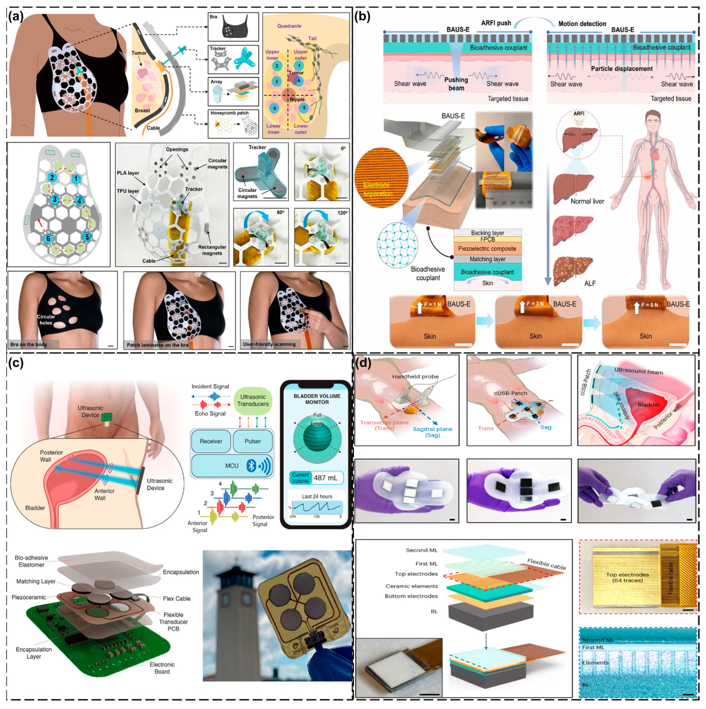 Biosensors 15 00561 g005