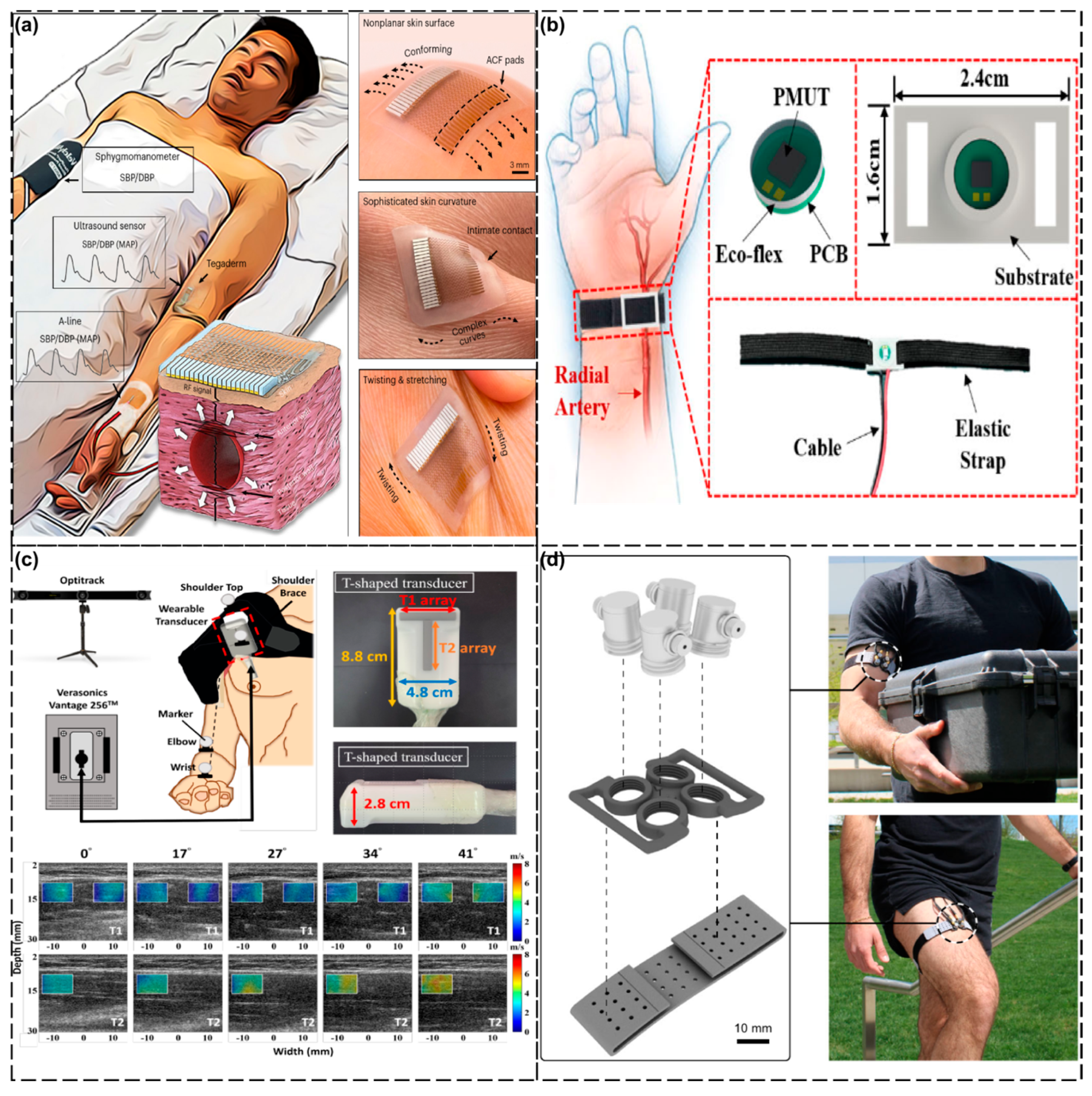 Biosensors 15 00561 g006