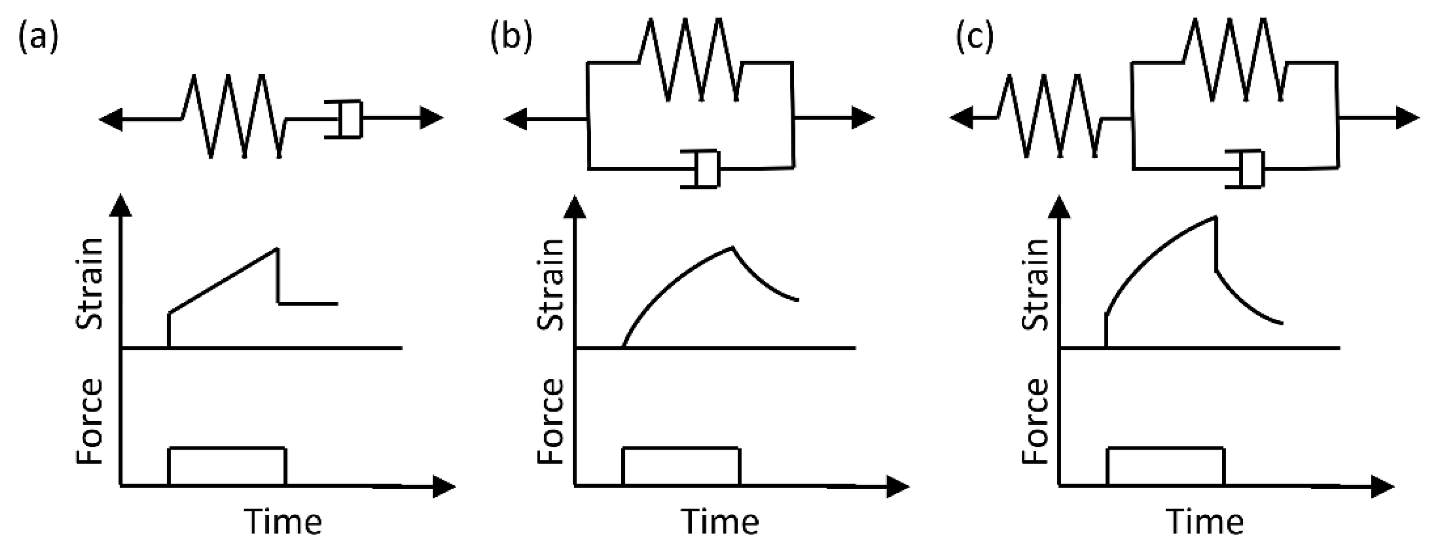 Biosensors 15 00566 g002 Biosensors 15 00566 g002