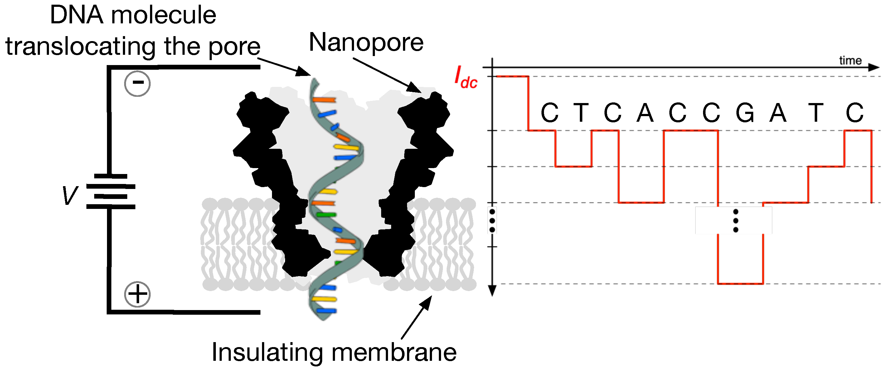 Biosensors 15 00569 g002