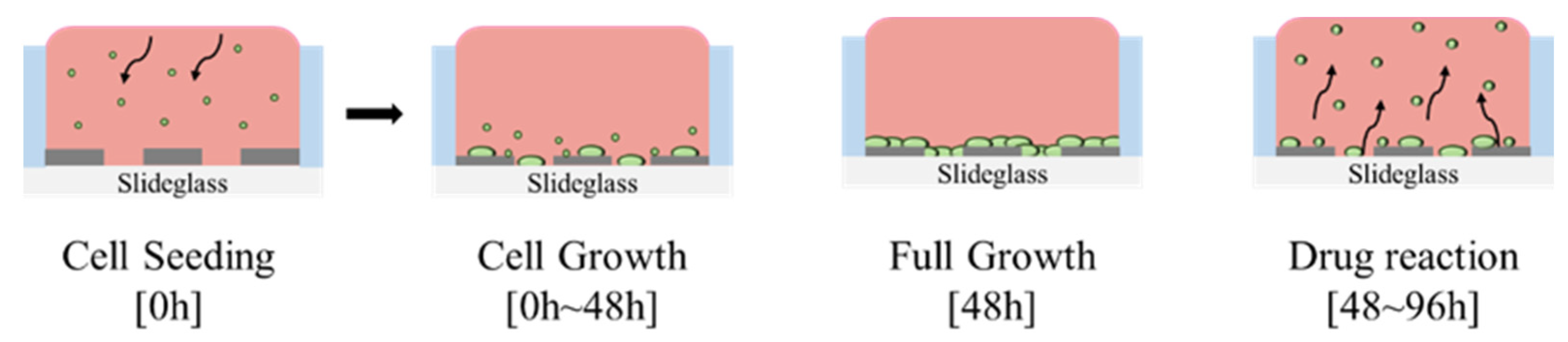 Biosensors 15 00572 g003