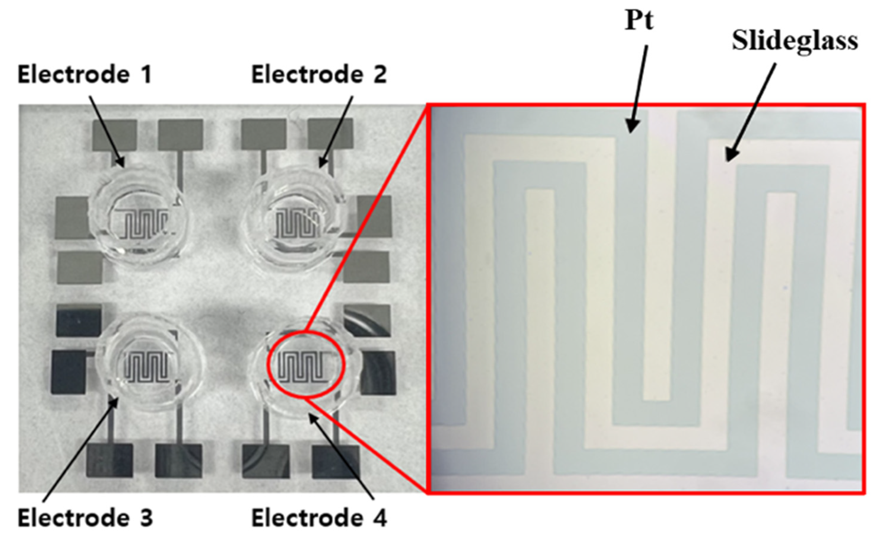 Biosensors 15 00572 g004