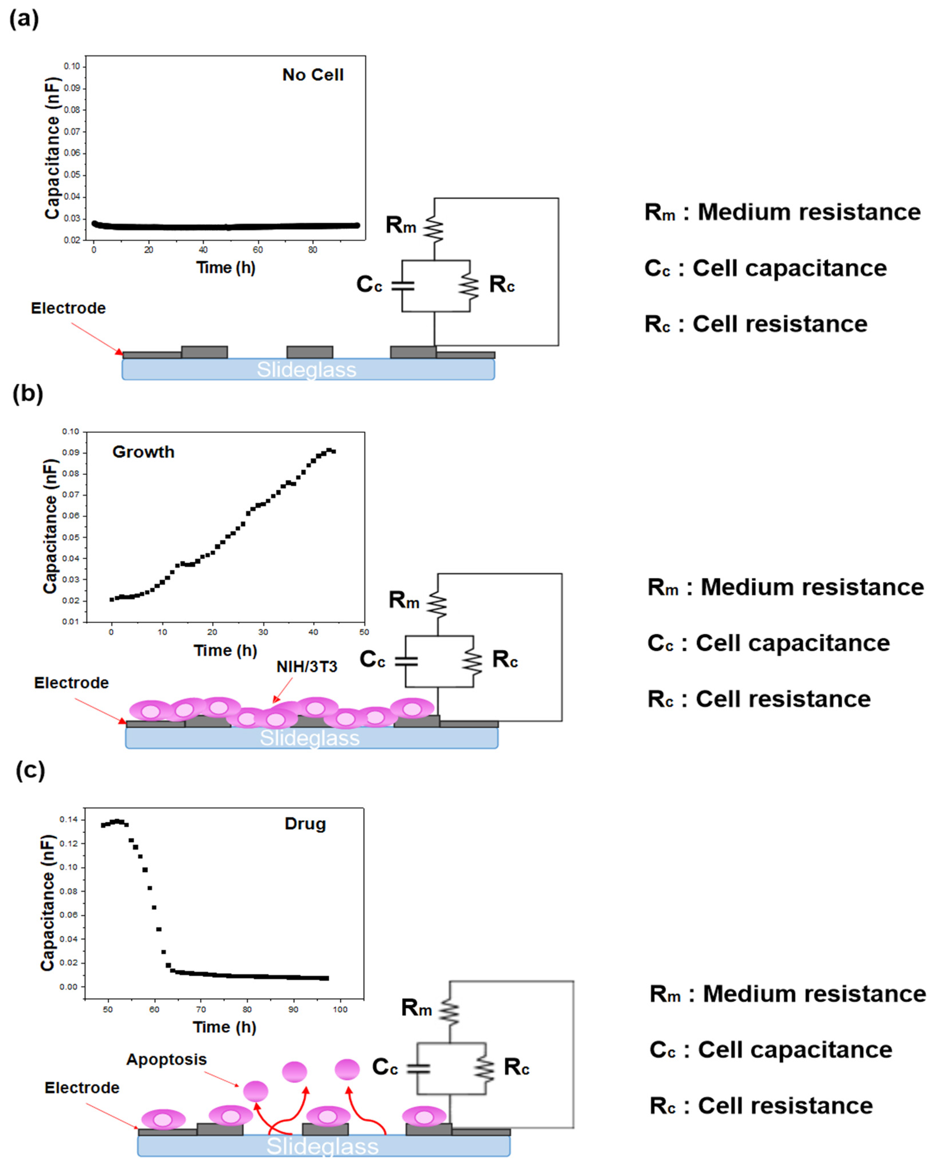 Biosensors 15 00572 g006