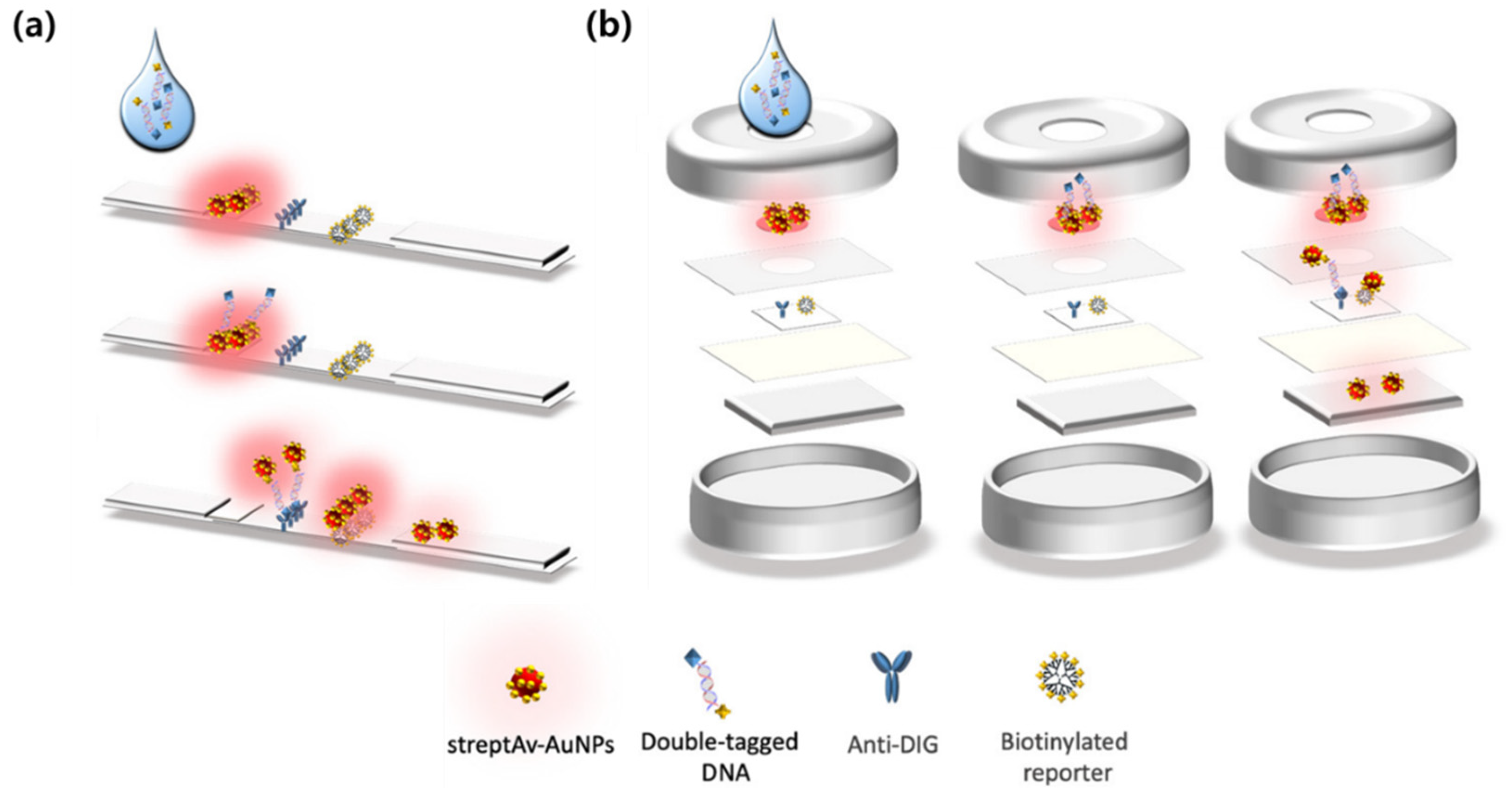Biosensors 15 00573 g001