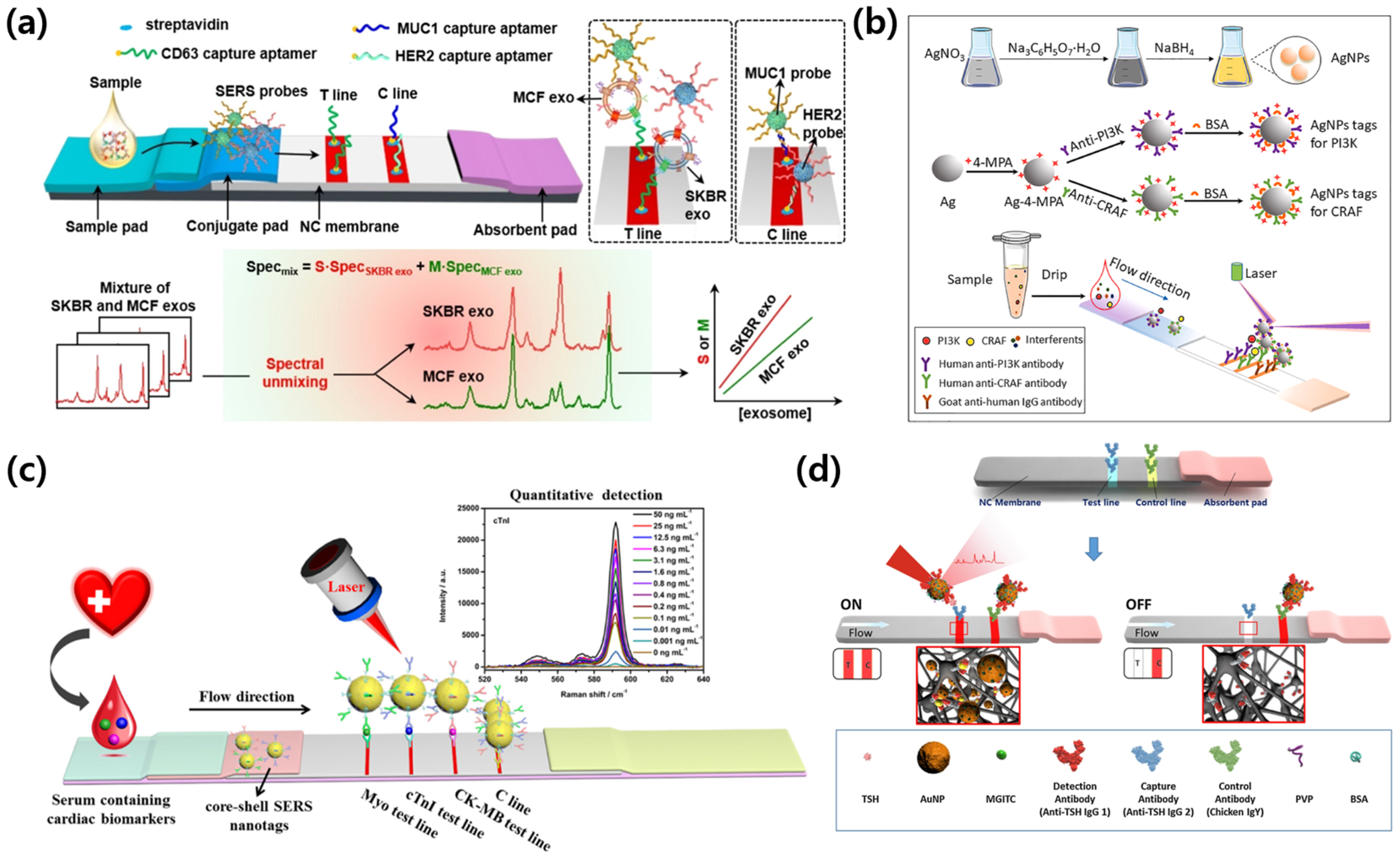 Biosensors 15 00573 g003