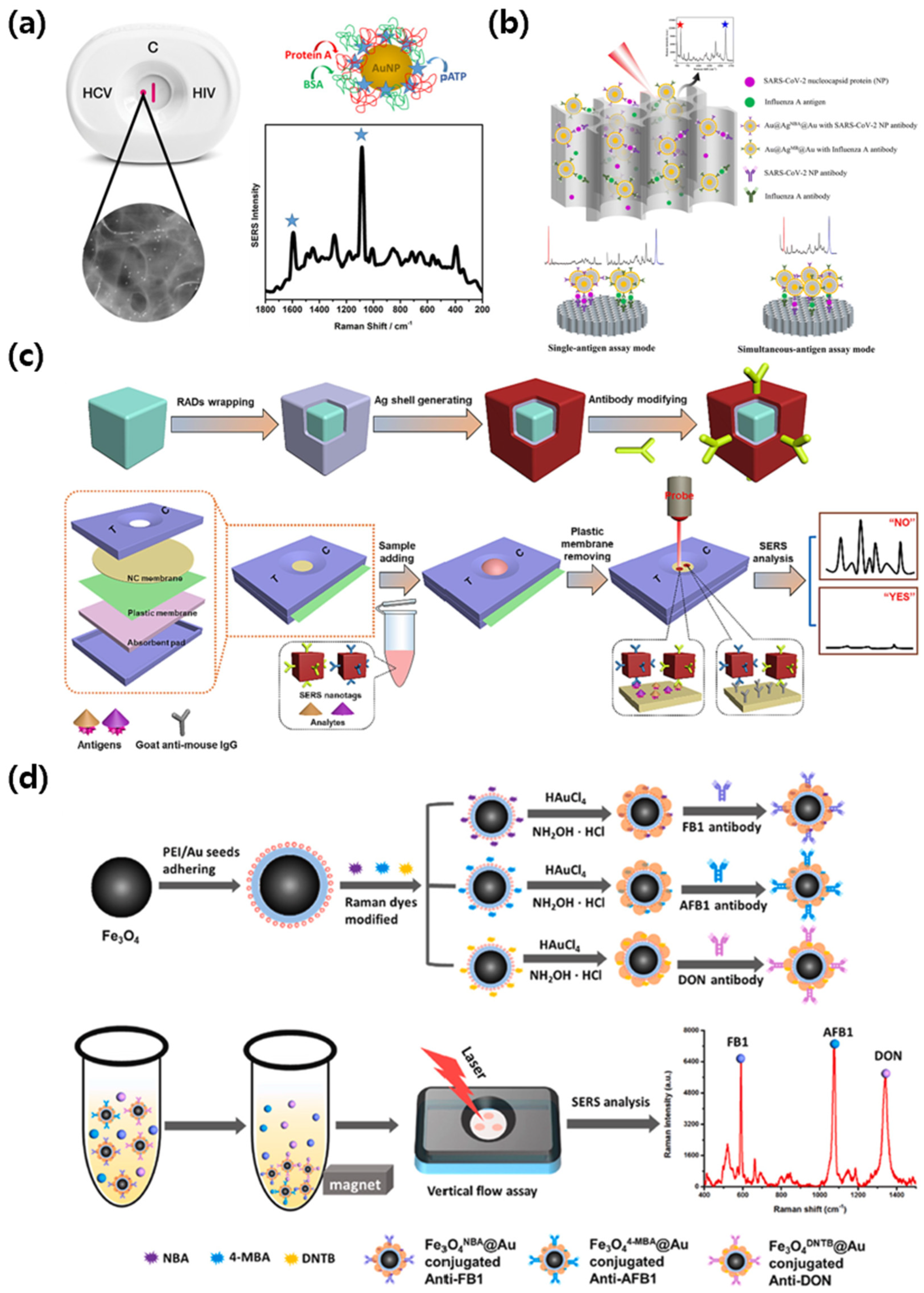 Biosensors 15 00573 g004