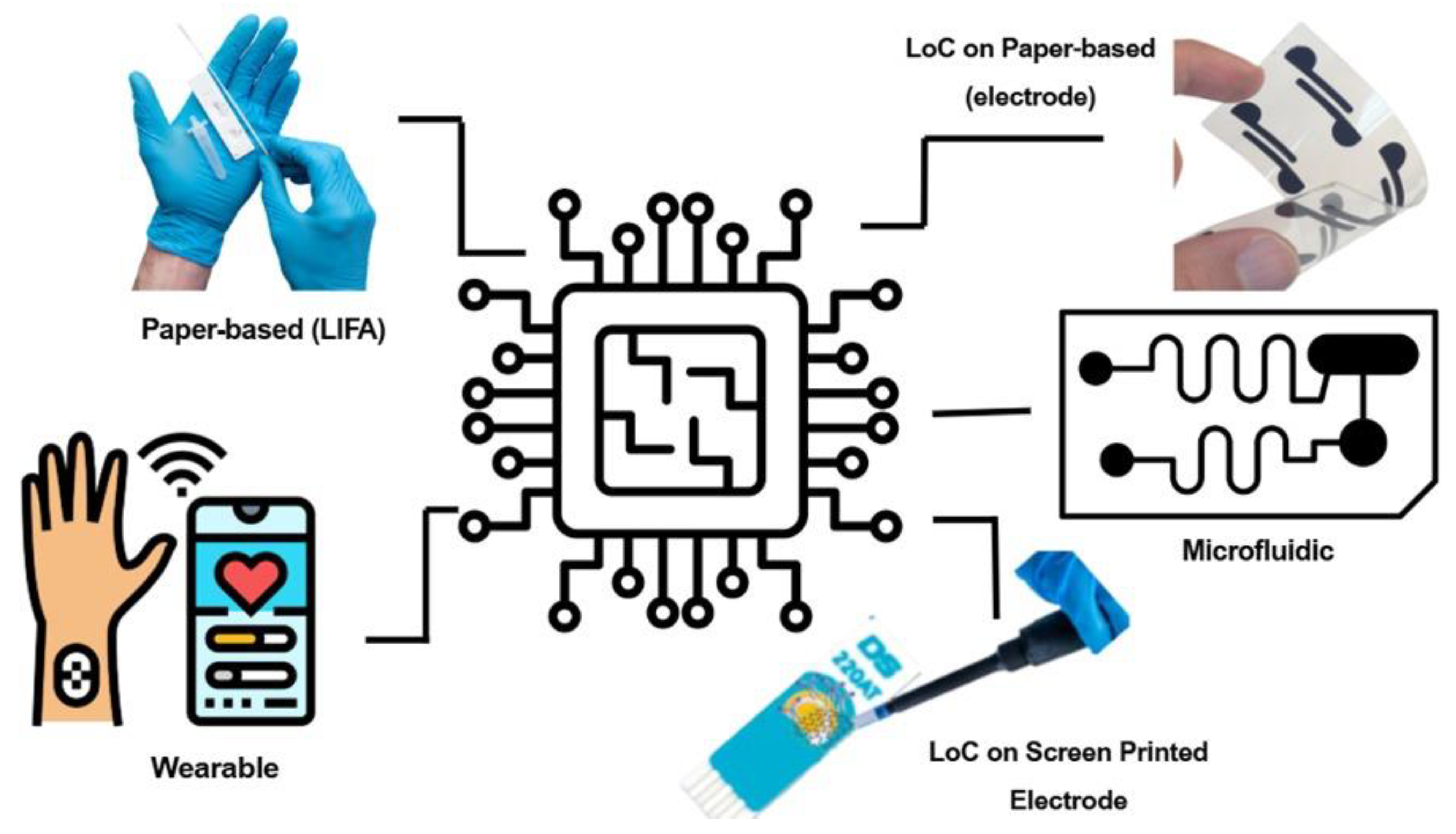 Biosensors 15 00574 g003 Biosensors 15 00574 g003