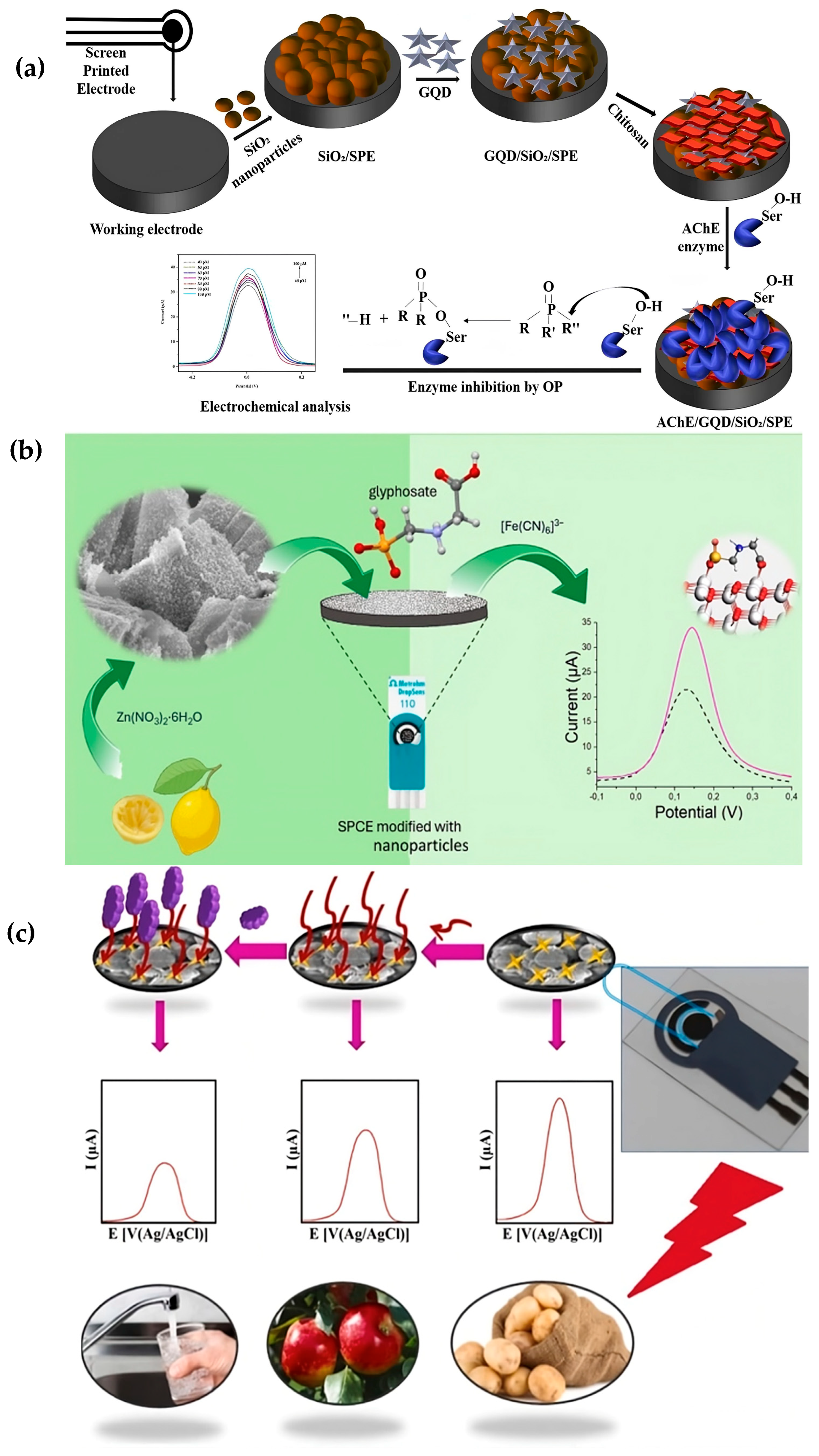 Biosensors 15 00574 g007 Biosensors 15 00574 g007