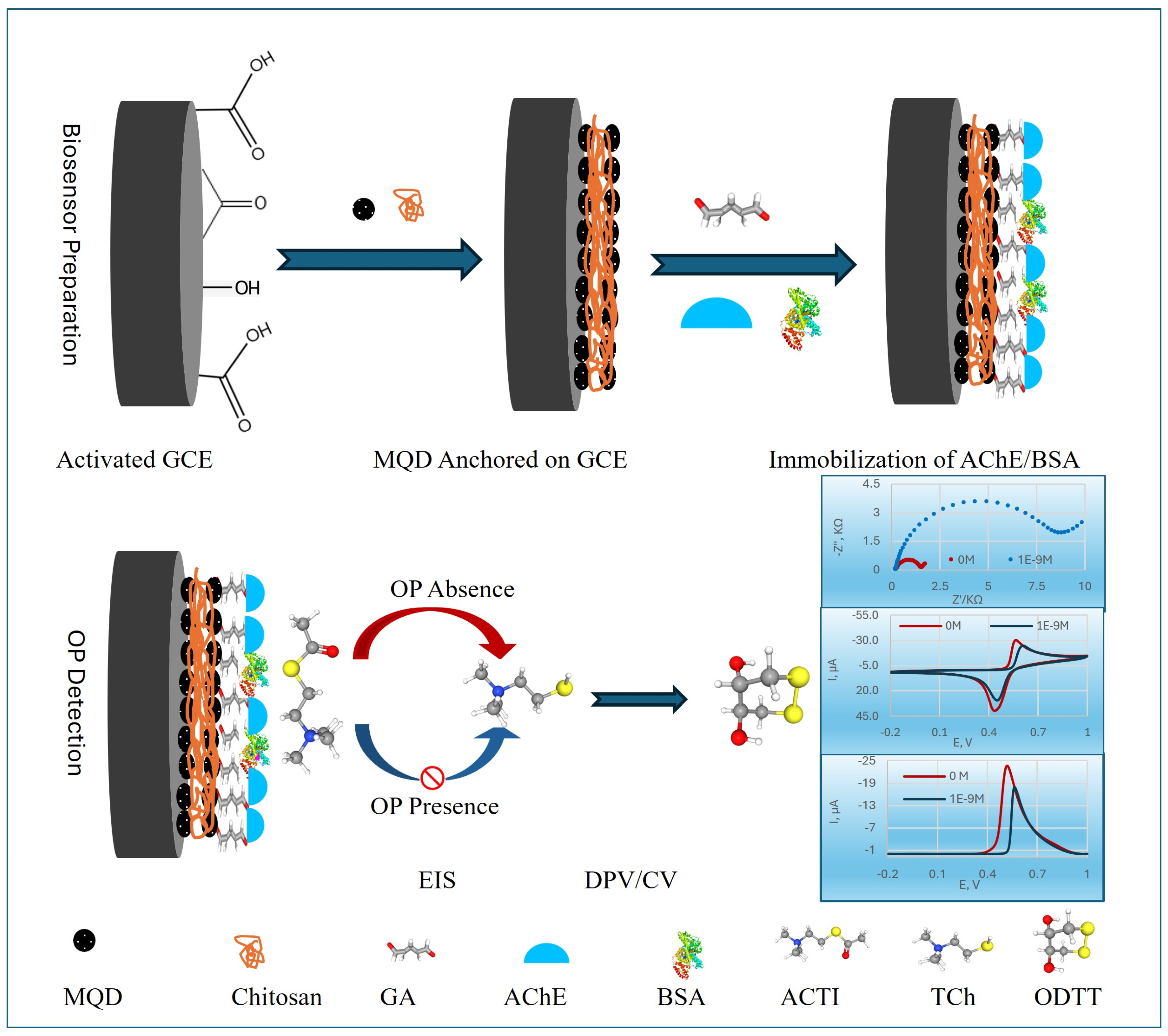 Biosensors 15 00575 g001