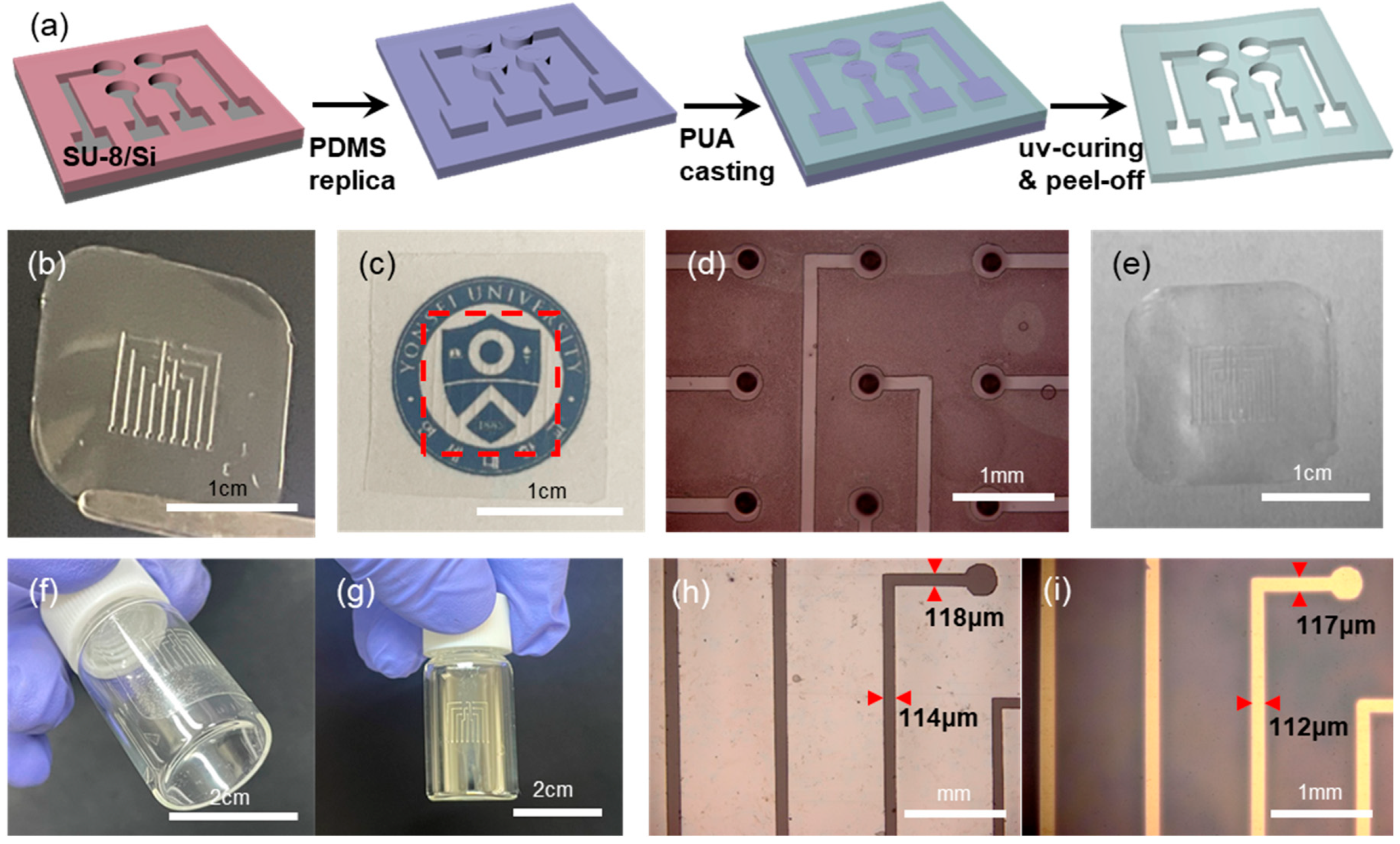 Biosensors 15 00576 g002