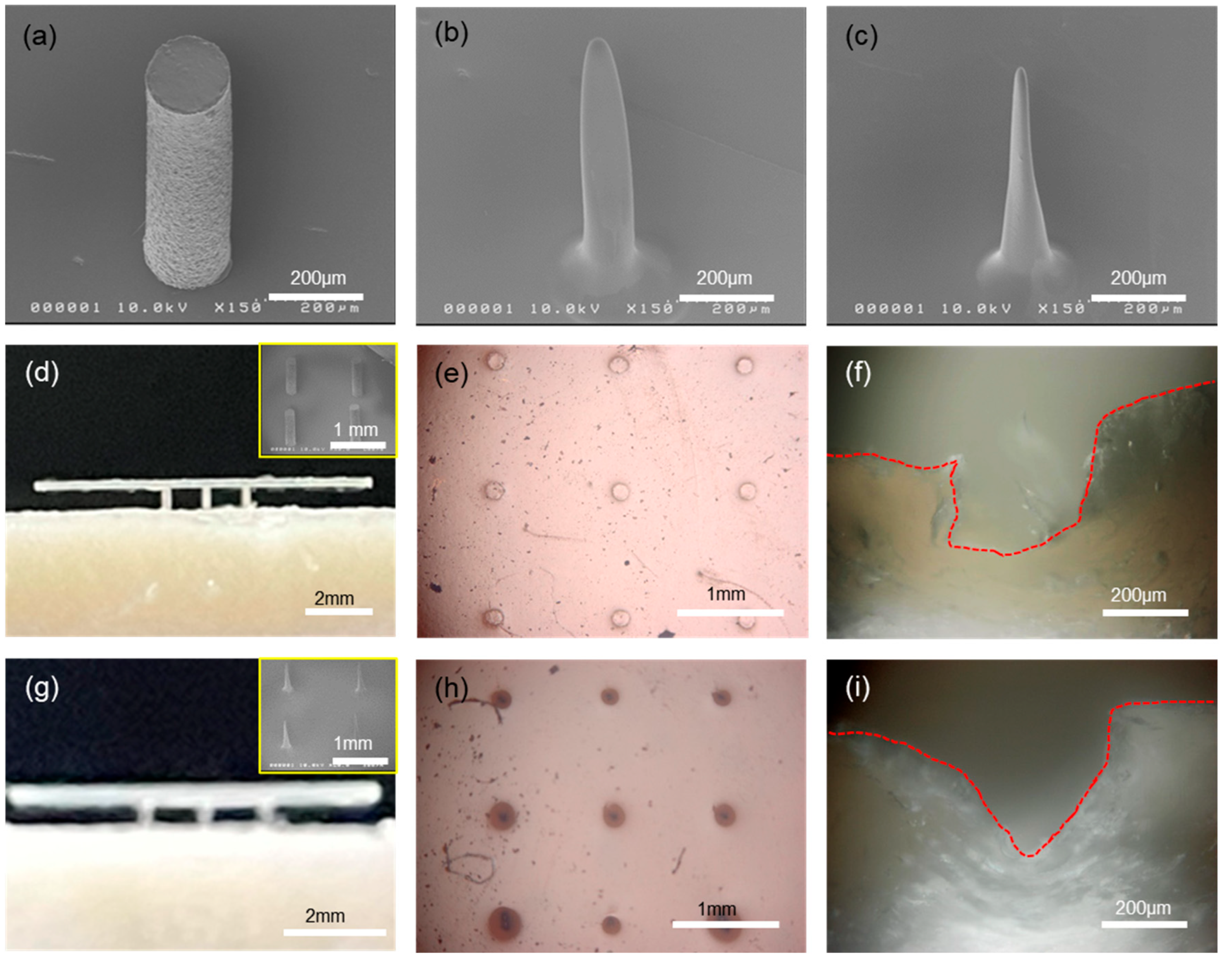 Biosensors 15 00576 g003