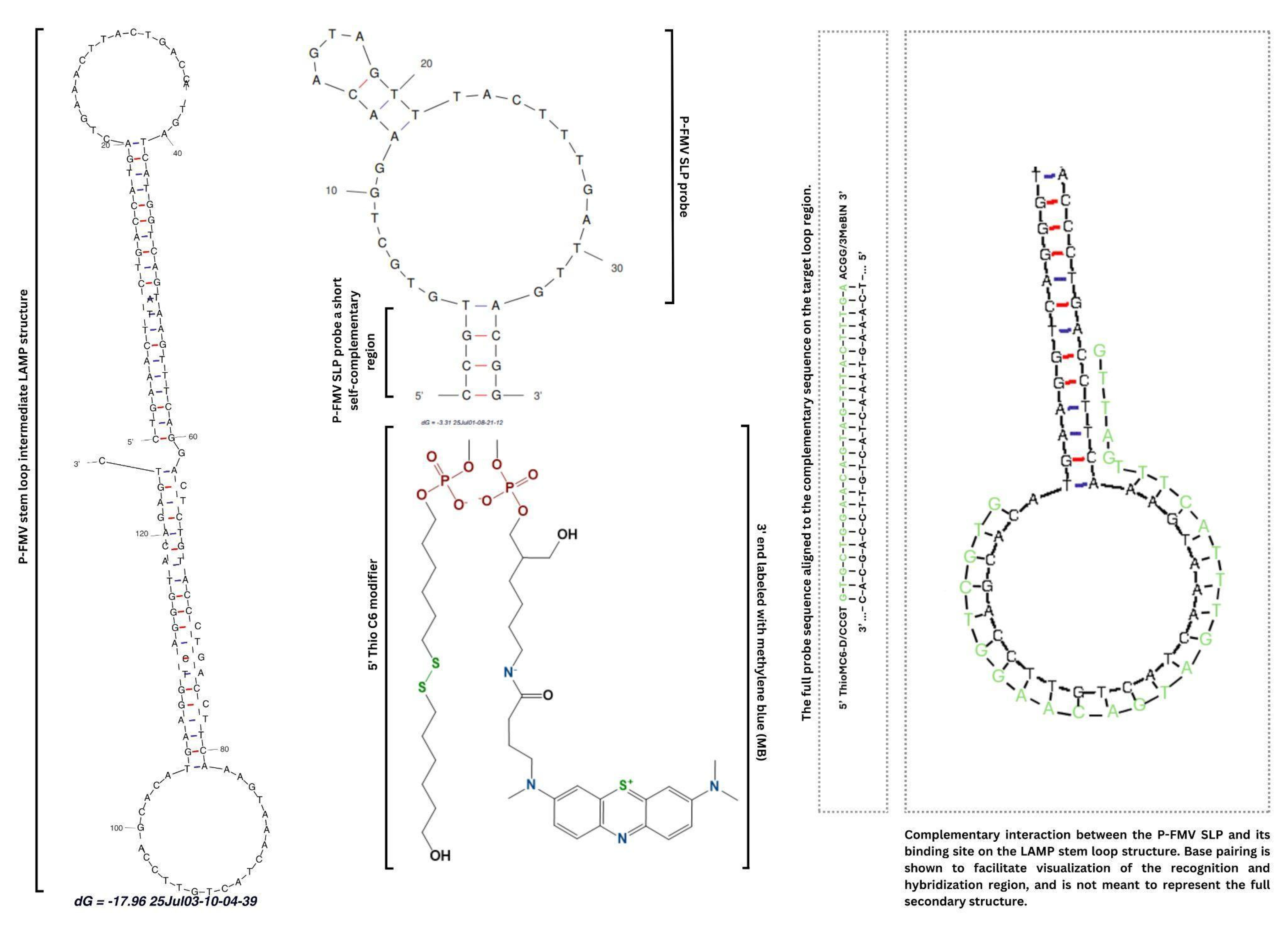 Biosensors 15 00584 g001 Biosensors 15 00584 g001