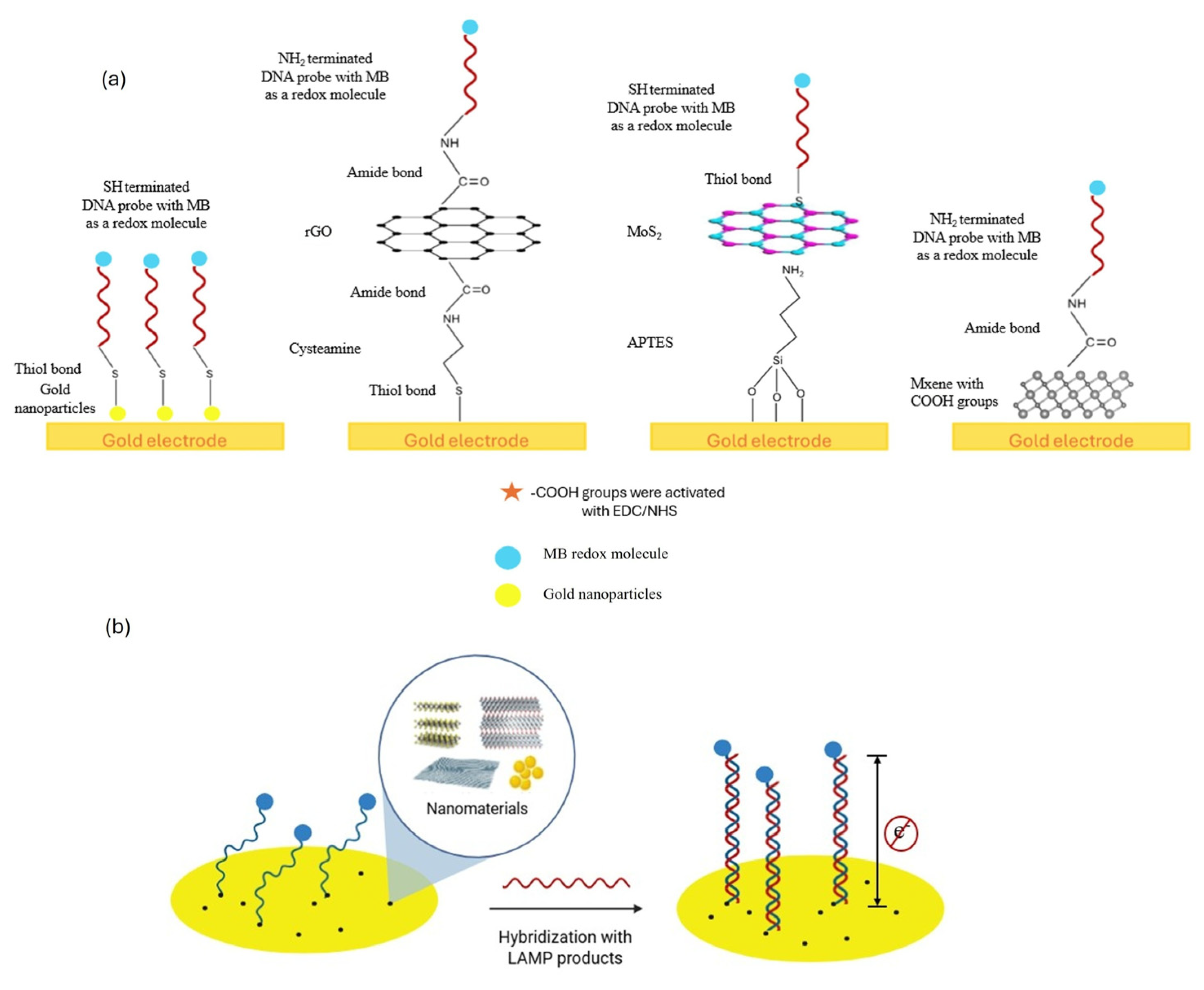 Biosensors 15 00584 g003 Biosensors 15 00584 g003