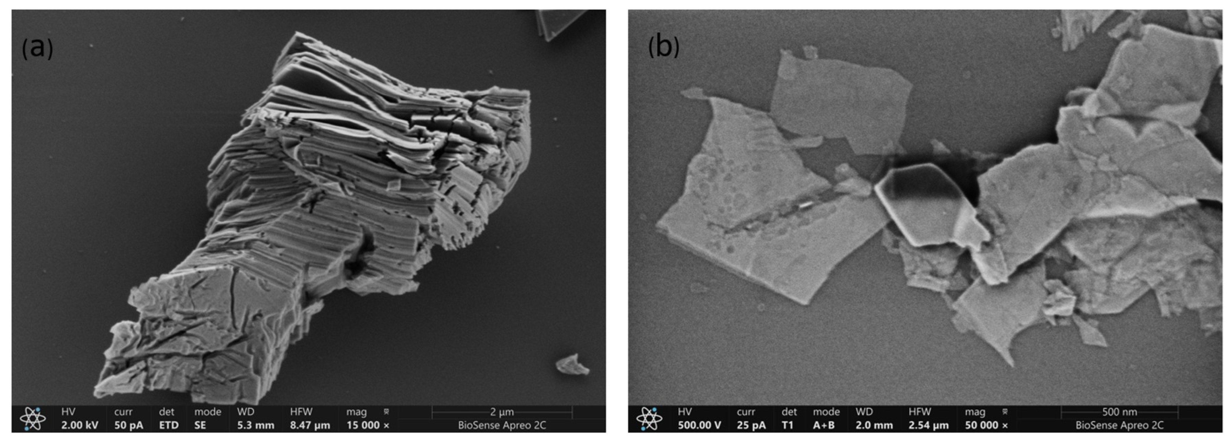 Biosensors 15 00584 g004 Biosensors 15 00584 g004