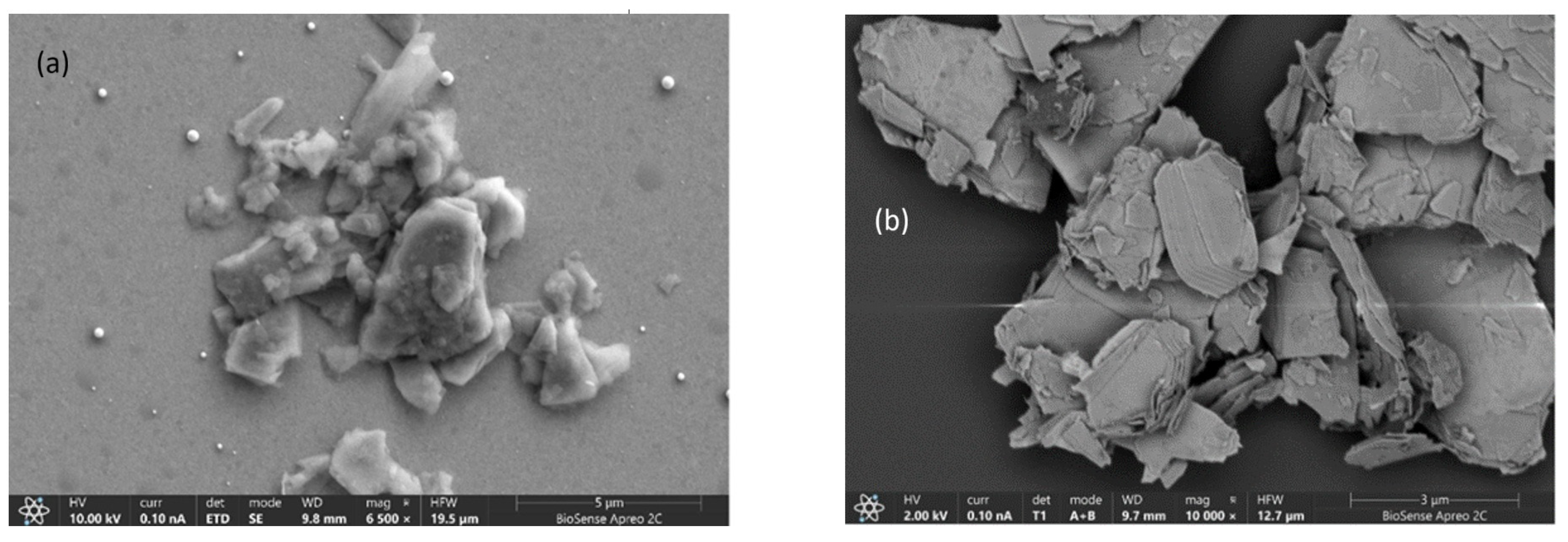 Biosensors 15 00584 g006 Biosensors 15 00584 g006