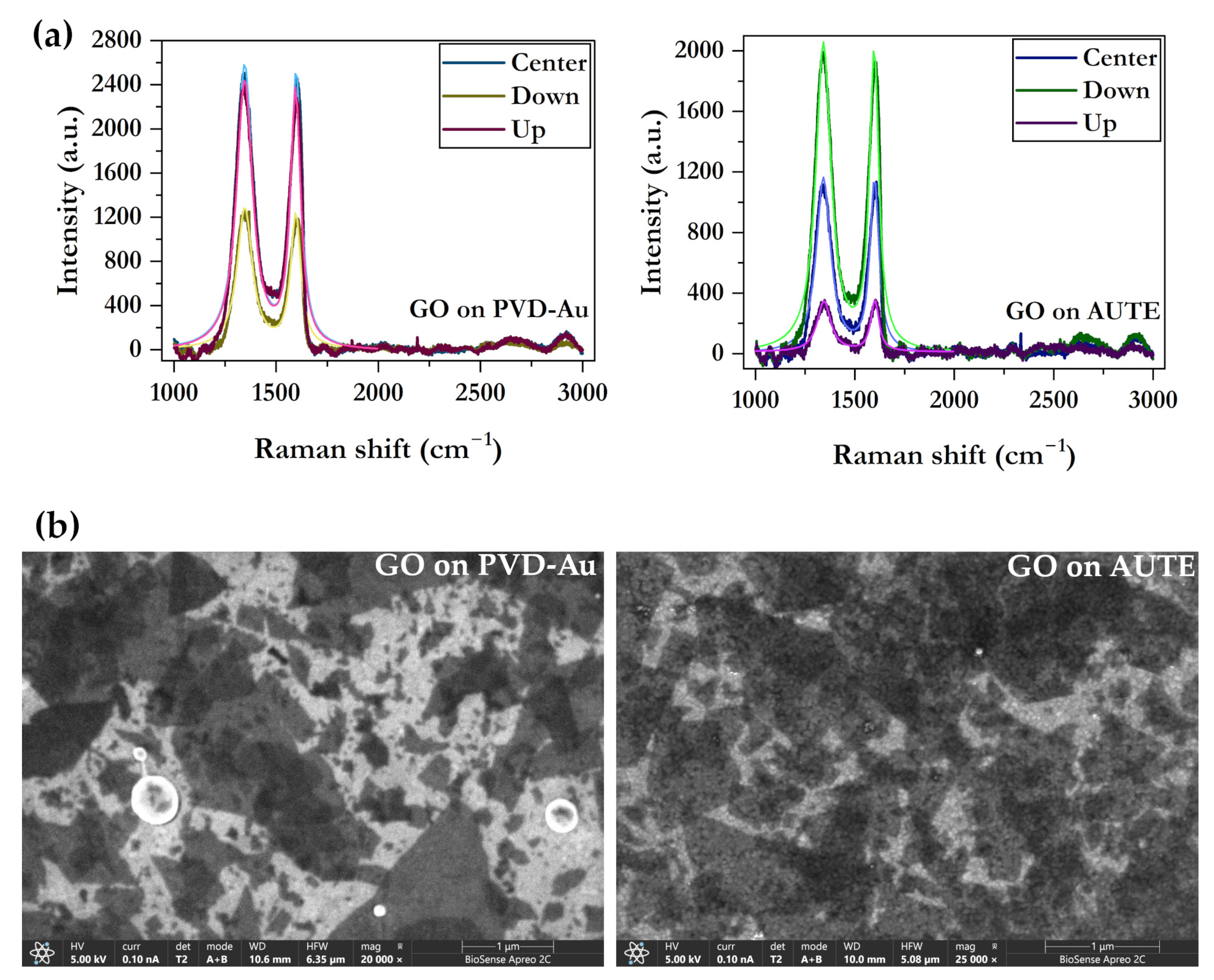 Biosensors 15 00584 g007 Biosensors 15 00584 g007