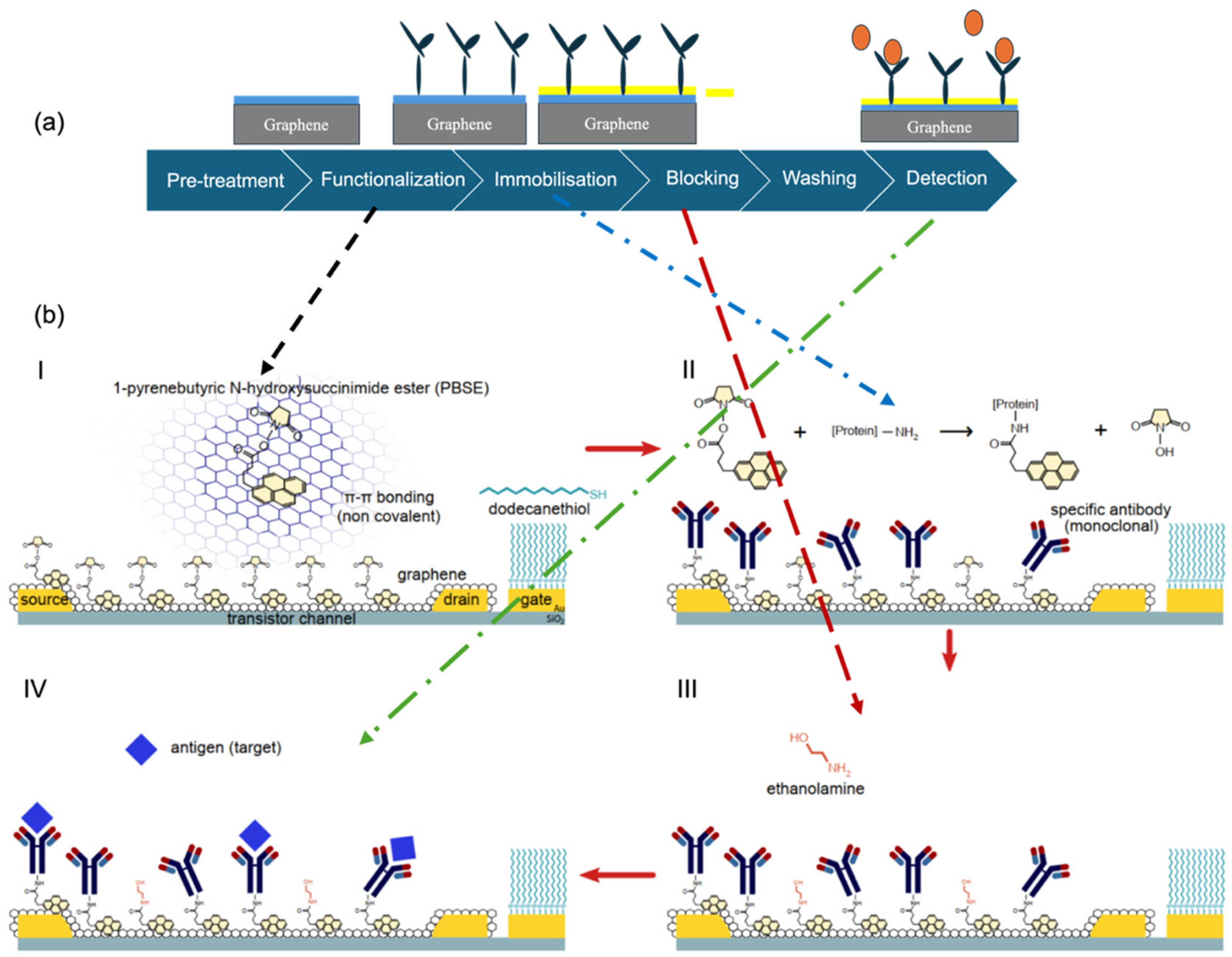 Biosensors 15 00586 g002