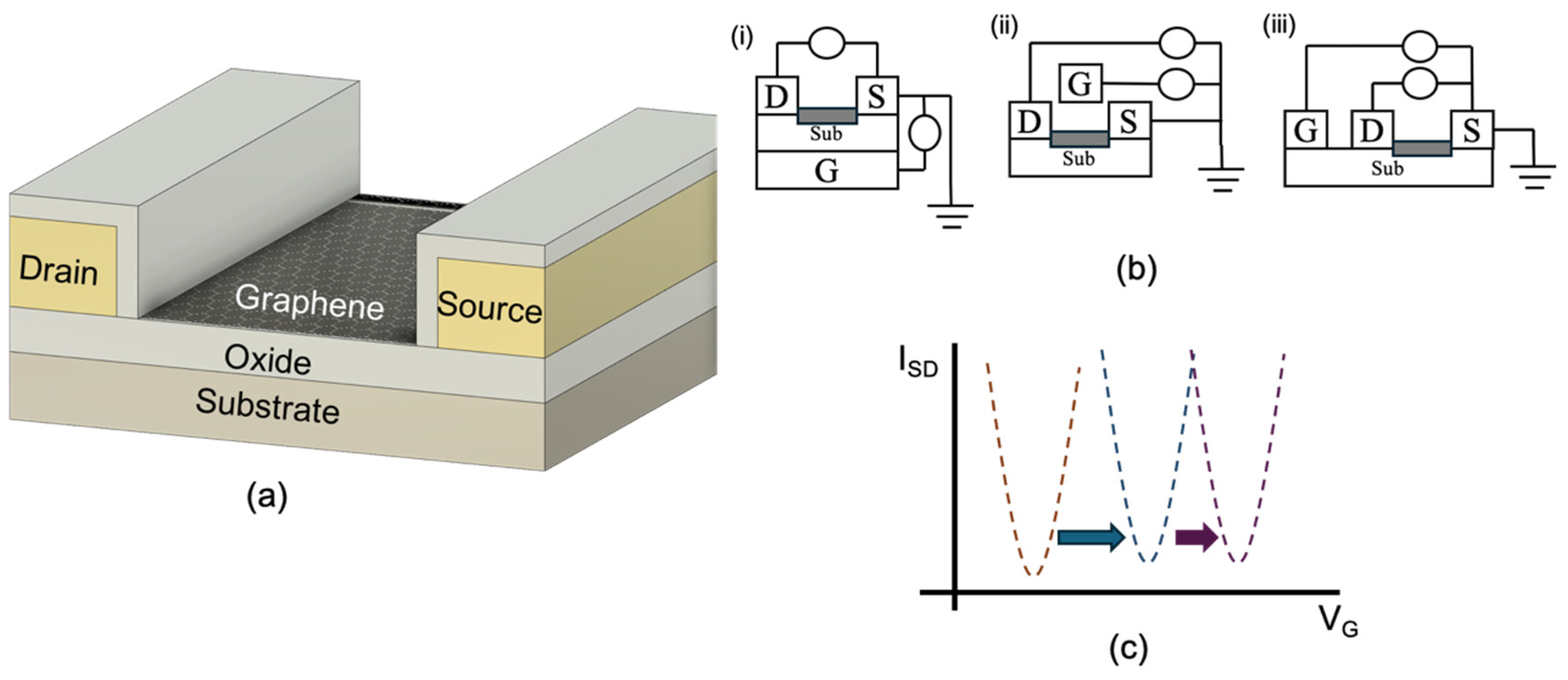 Biosensors 15 00586 g006