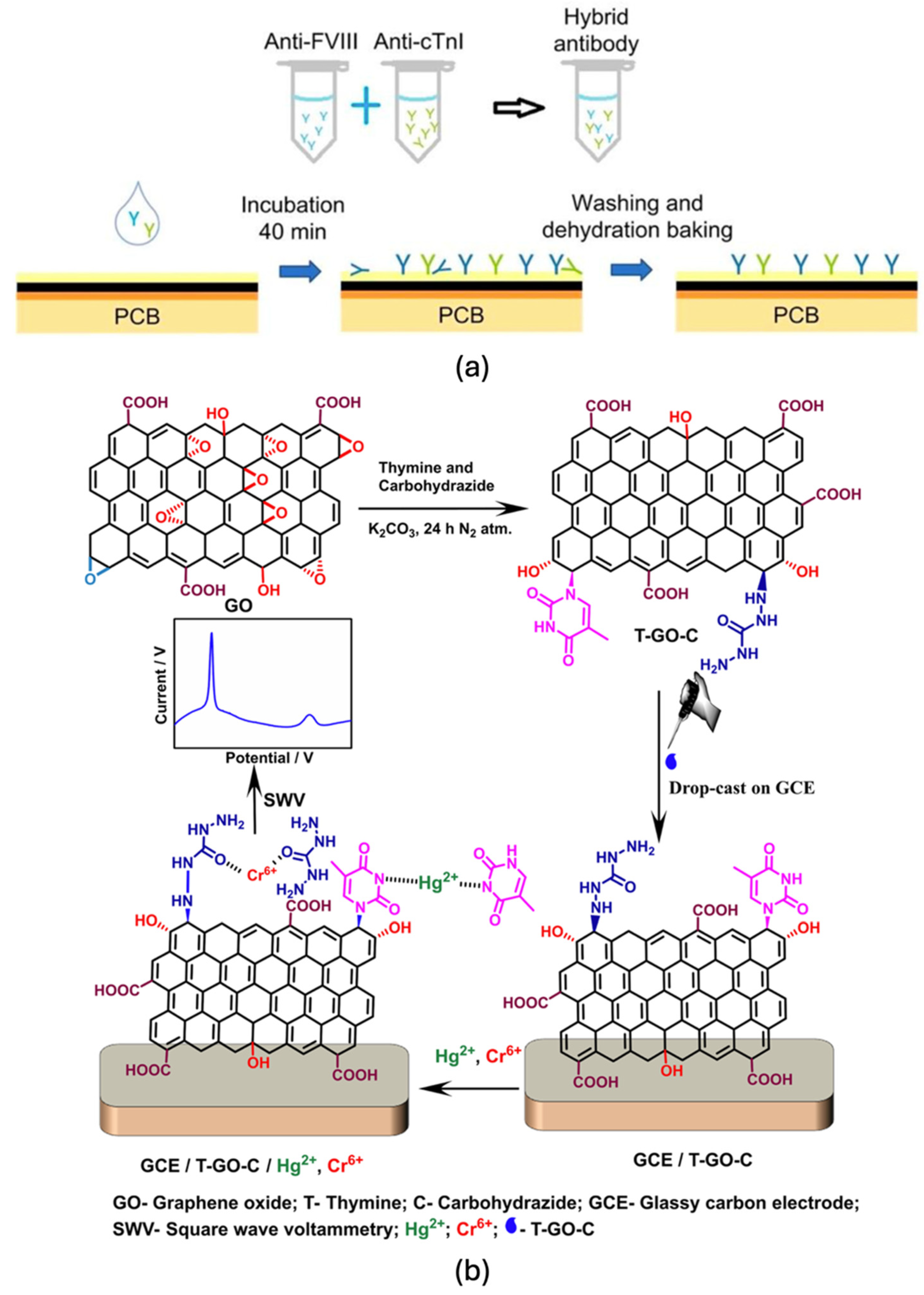 Biosensors 15 00586 g008