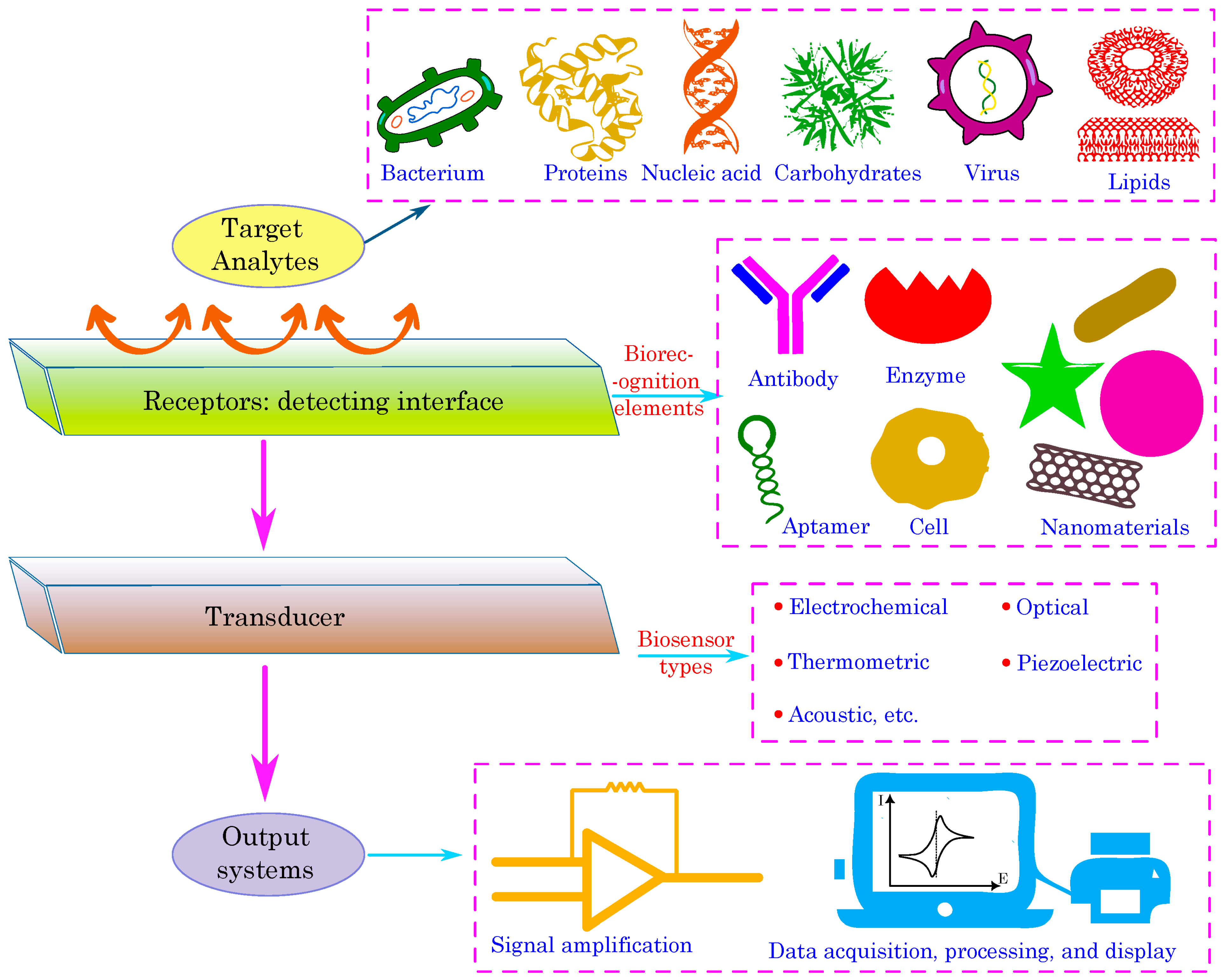 Biosensors 15 00587 g003 Biosensors 15 00587 g003