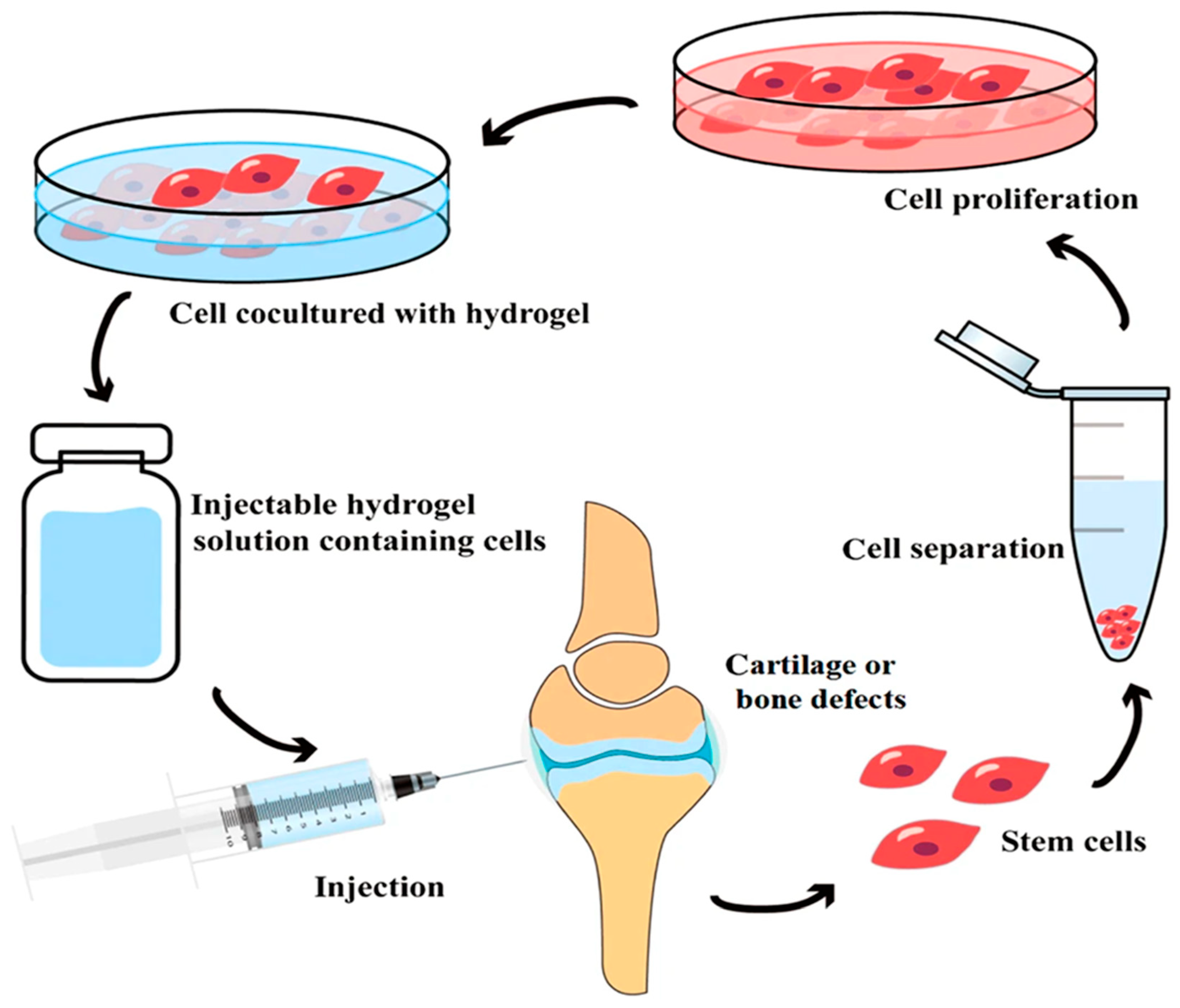 Biosensors 15 00587 g007 Biosensors 15 00587 g007