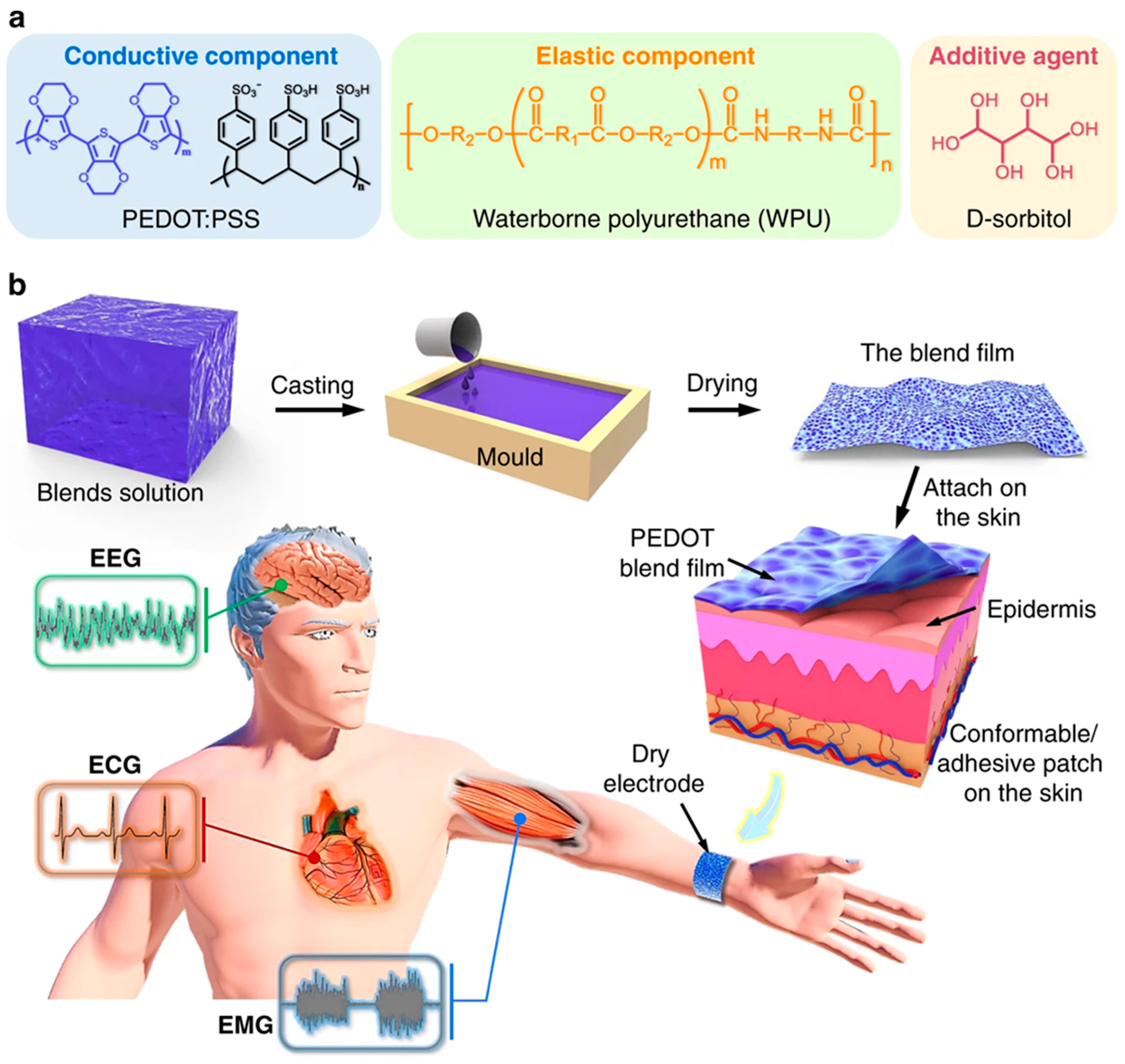 Biosensors 15 00587 g008 Biosensors 15 00587 g008