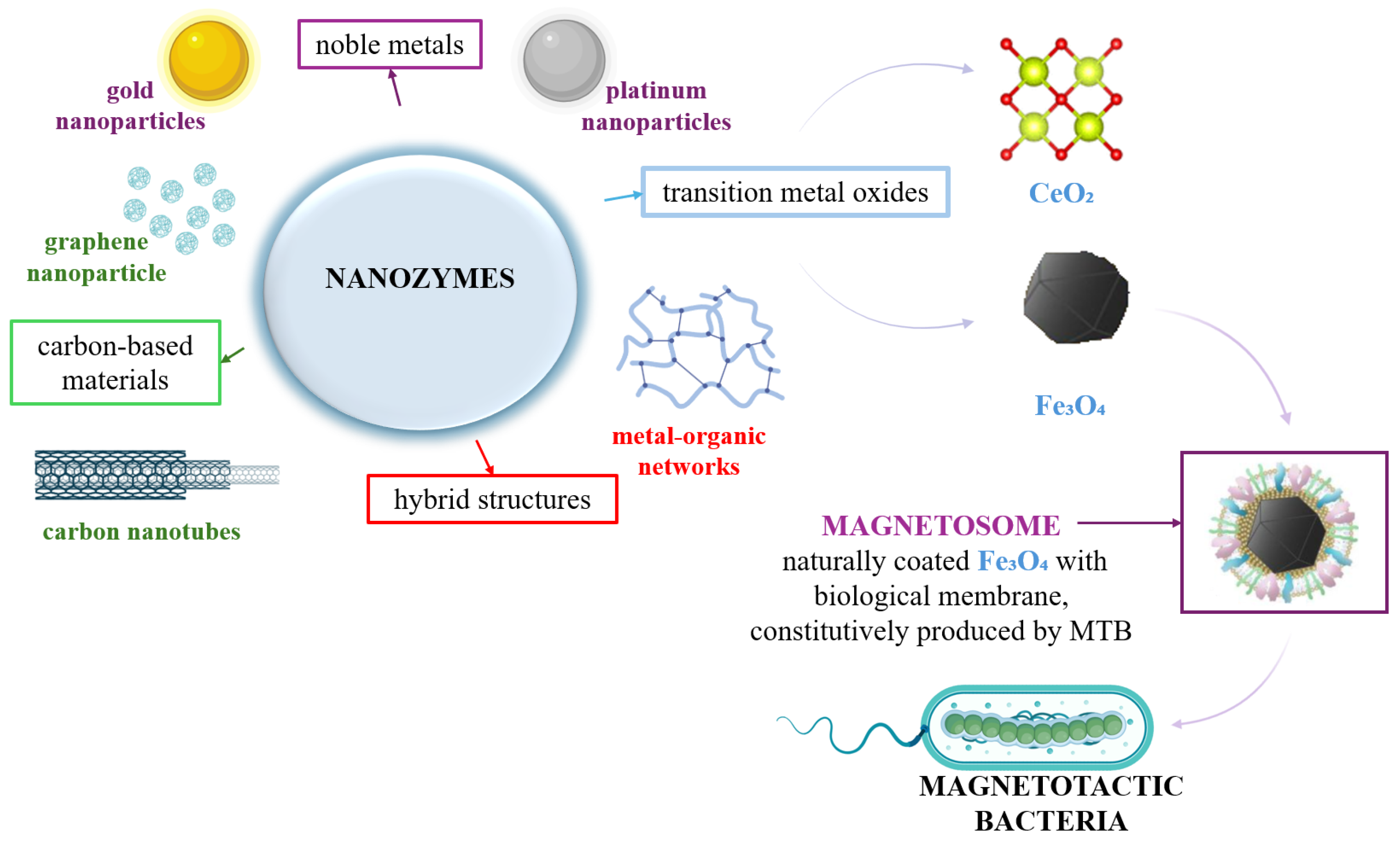 Biosensors 15 00590 g001 Biosensors 15 00590 g001