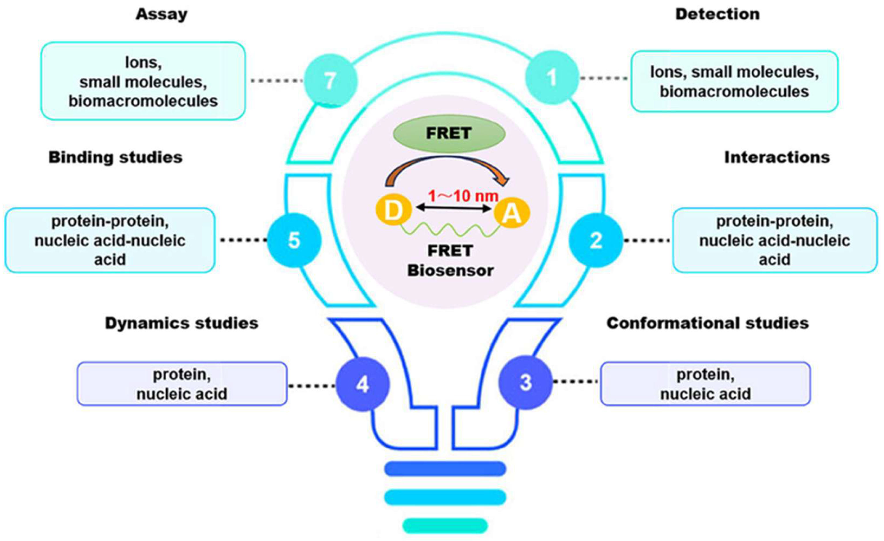 Biosensors 15 00593 g003