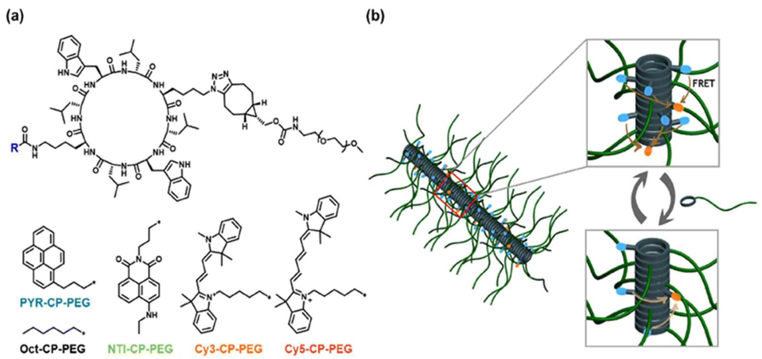 Biosensors 15 00593 g006