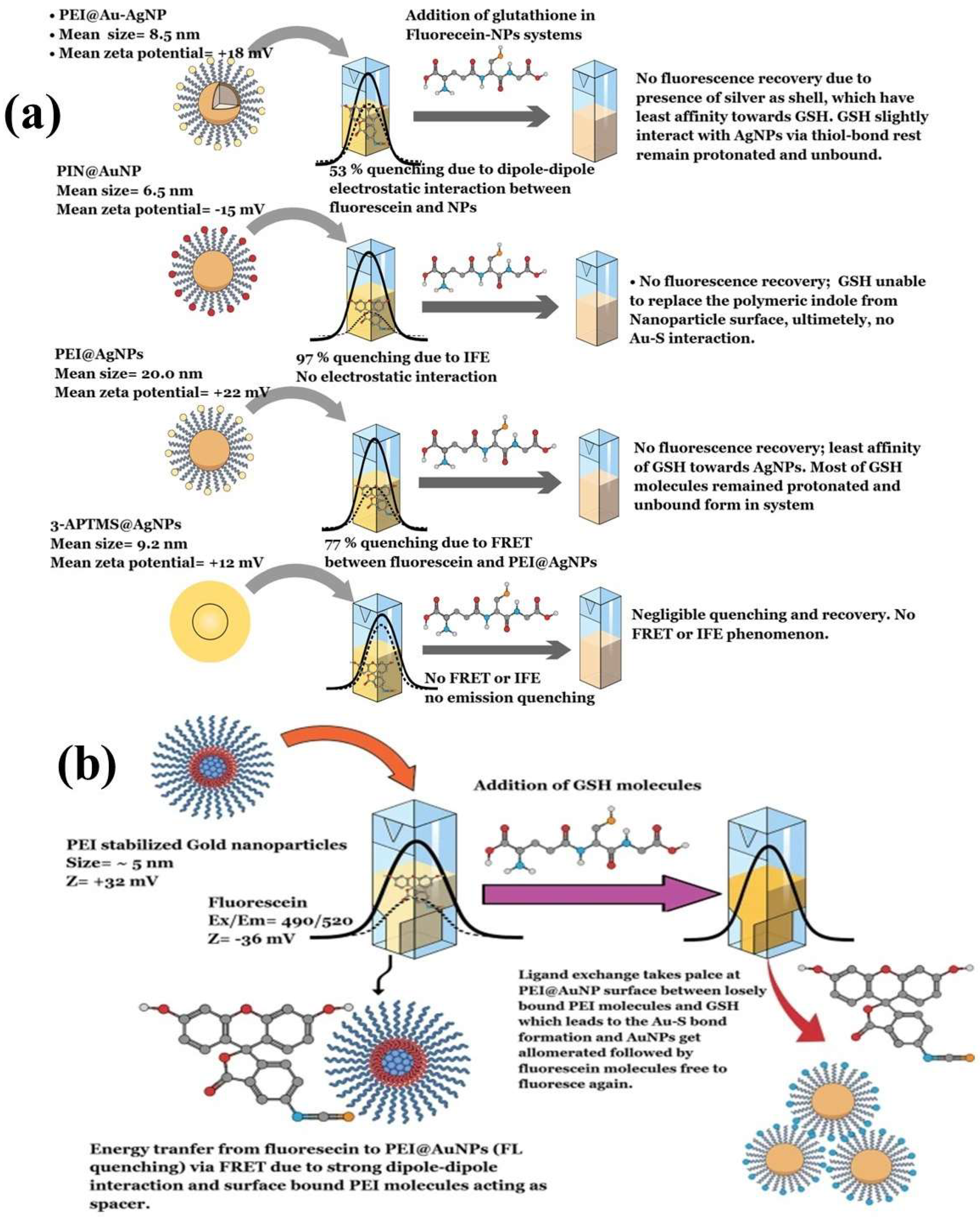 Biosensors 15 00593 g010
