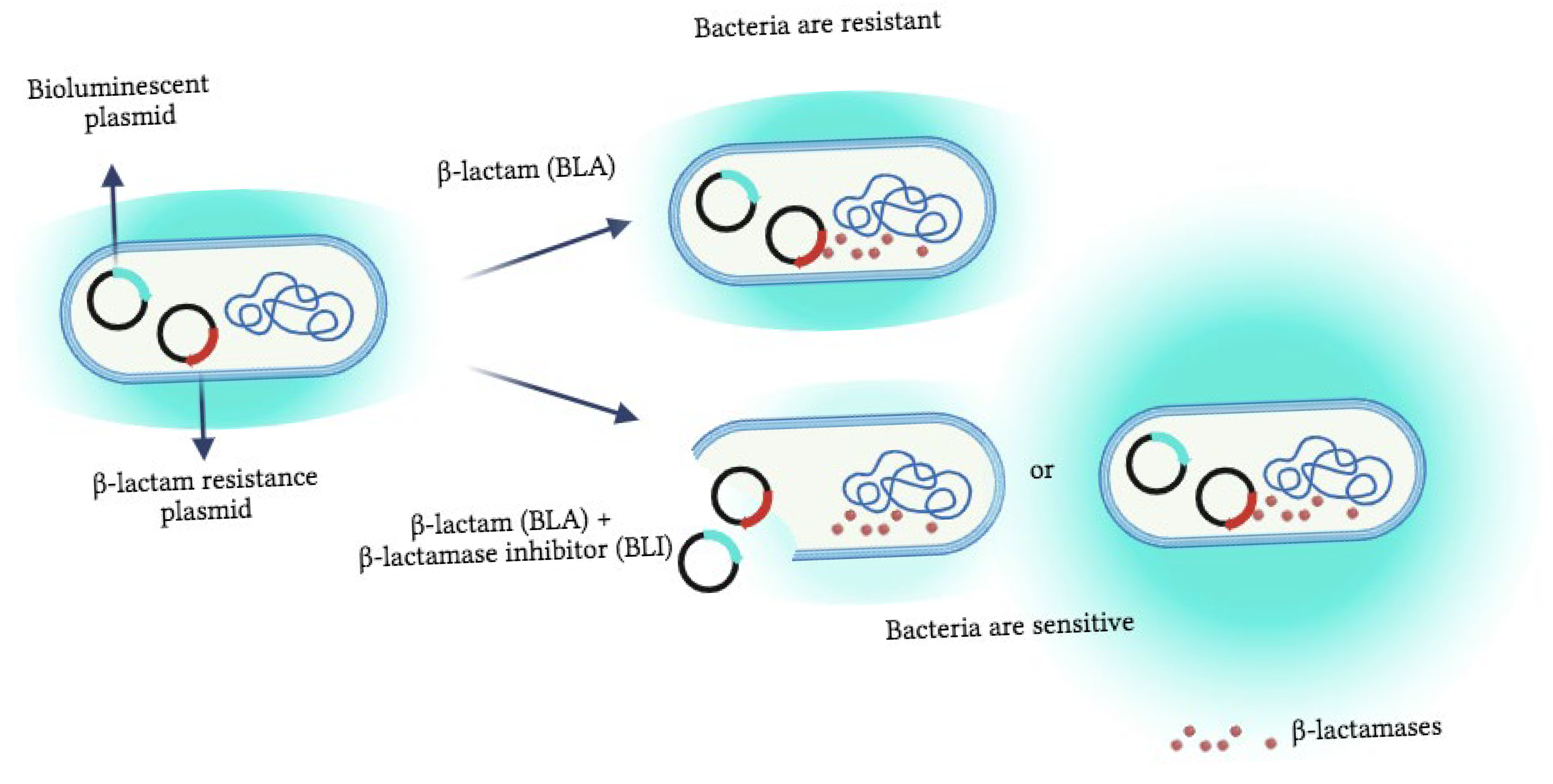 Biosensors 15 00594 g001