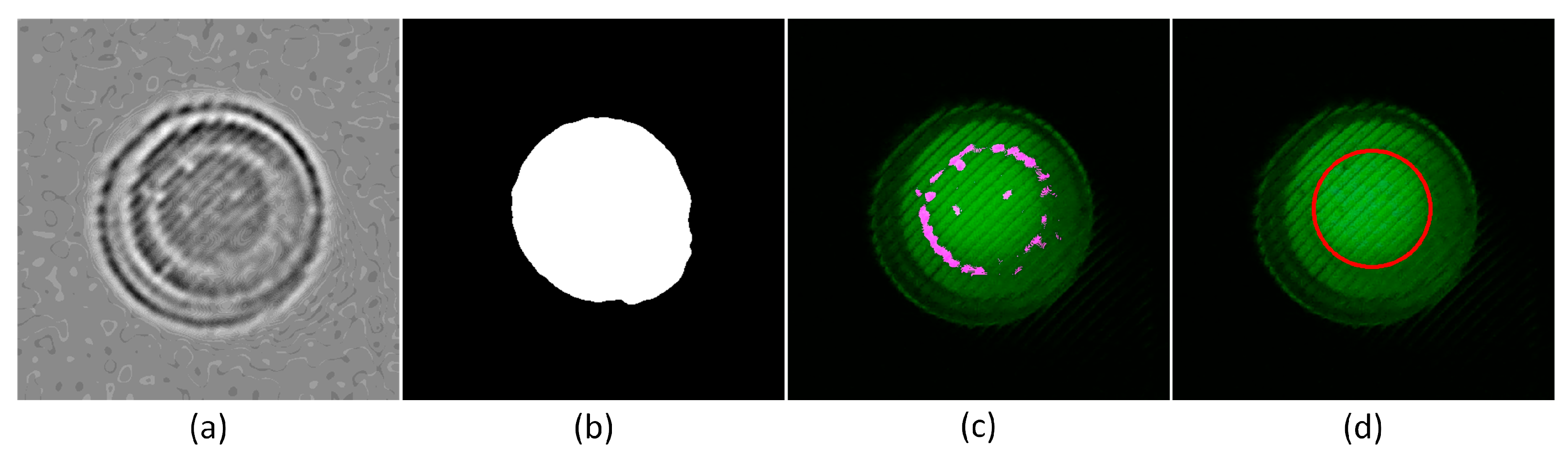 Biosensors 15 00598 g009 Biosensors 15 00598 g009