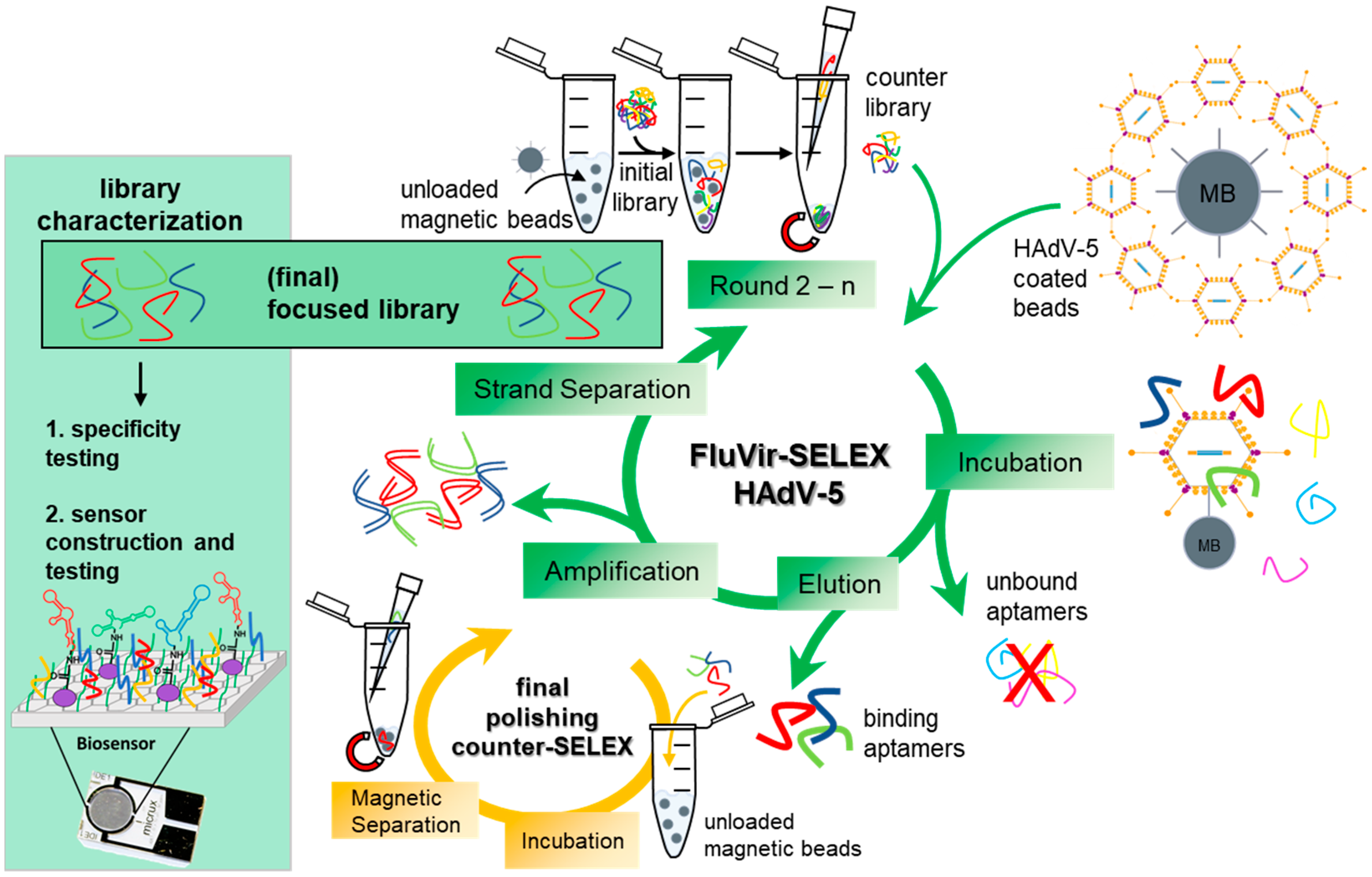 Biosensors 15 00605 g001 Biosensors 15 00605 g001