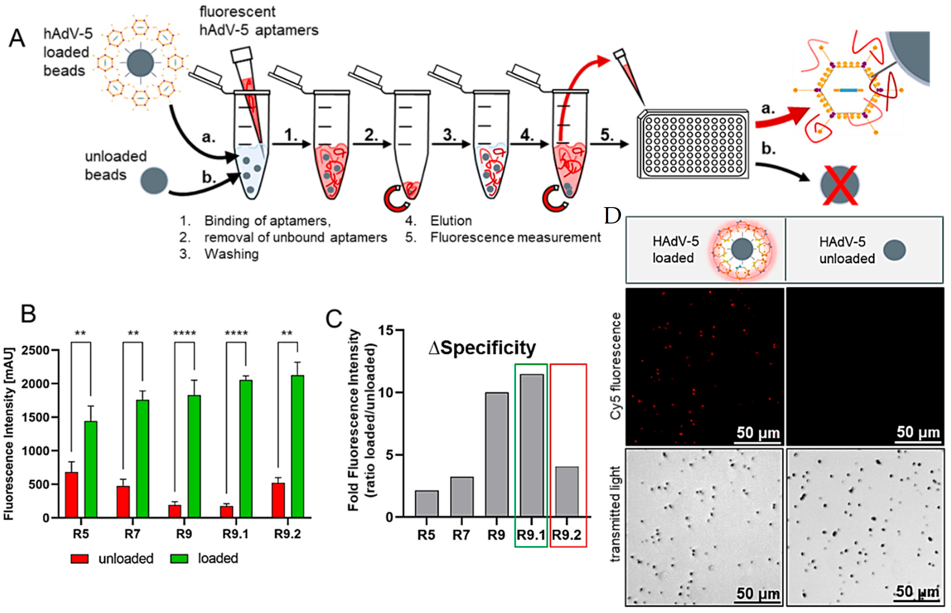 Biosensors 15 00605 g004 Biosensors 15 00605 g004