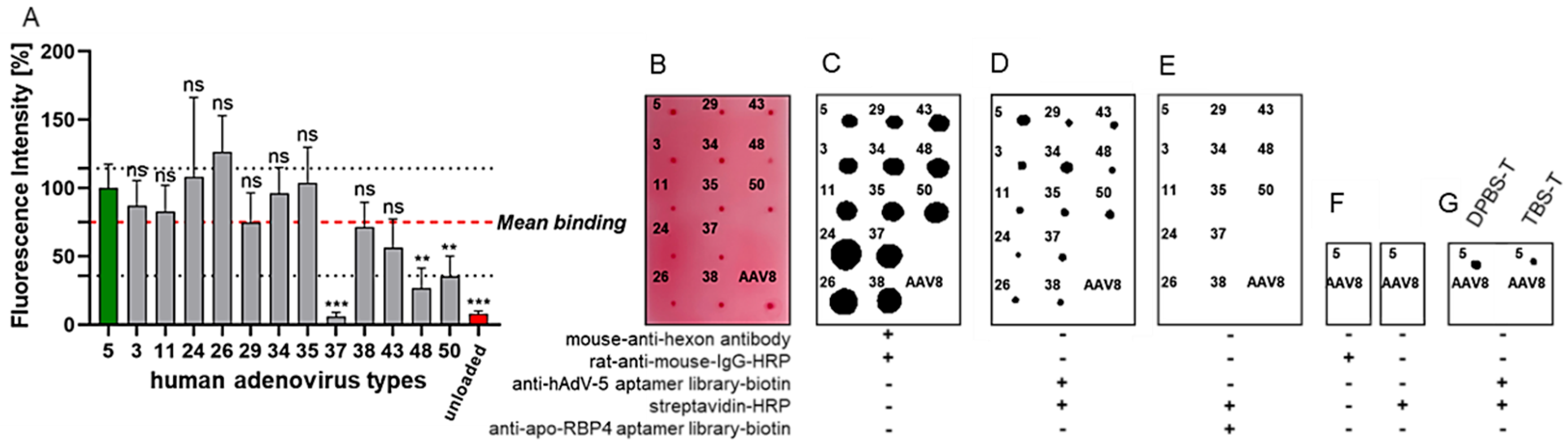 Biosensors 15 00605 g005 Biosensors 15 00605 g005