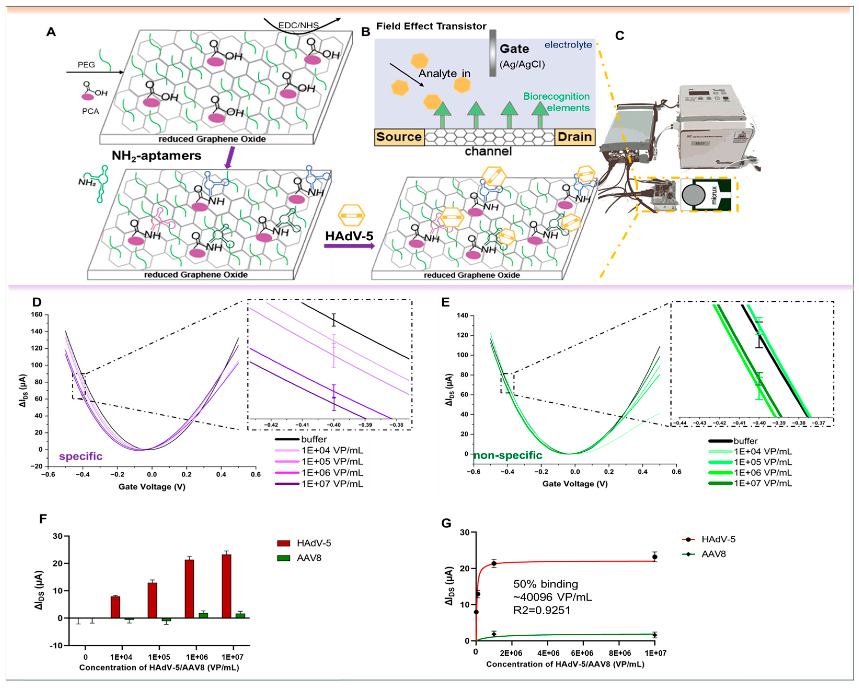Biosensors 15 00605 g006 Biosensors 15 00605 g006