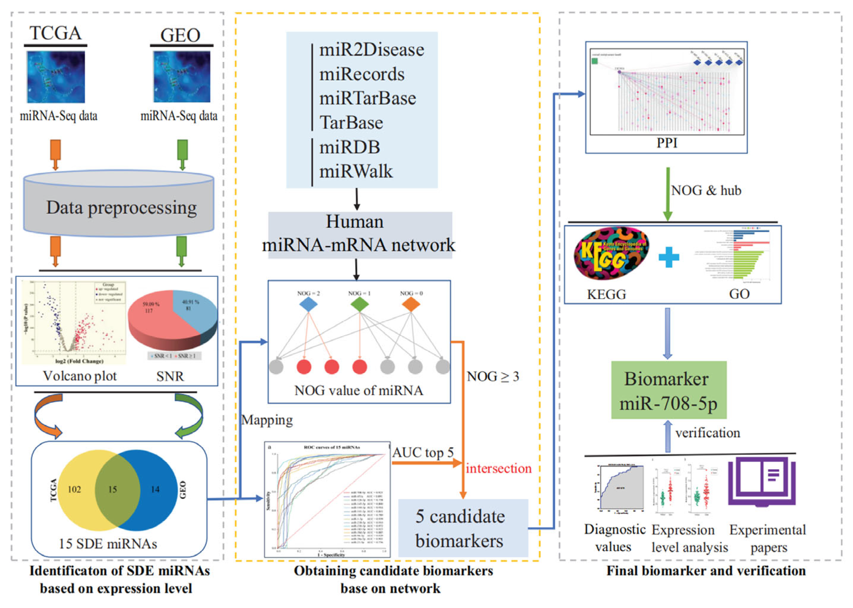 Biosensors 15 00610 g003