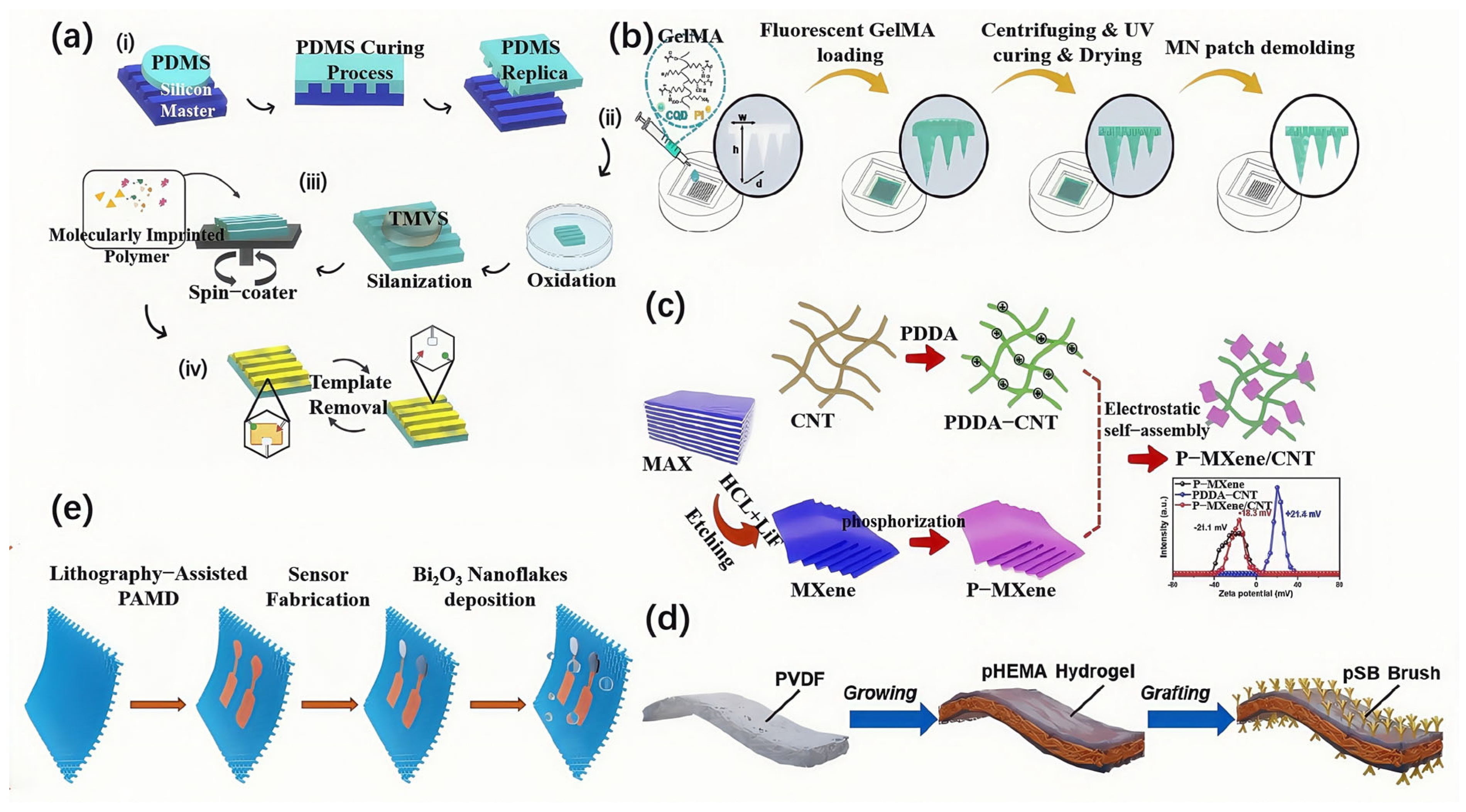 Biosensors 15 00611 g002 Biosensors 15 00611 g002