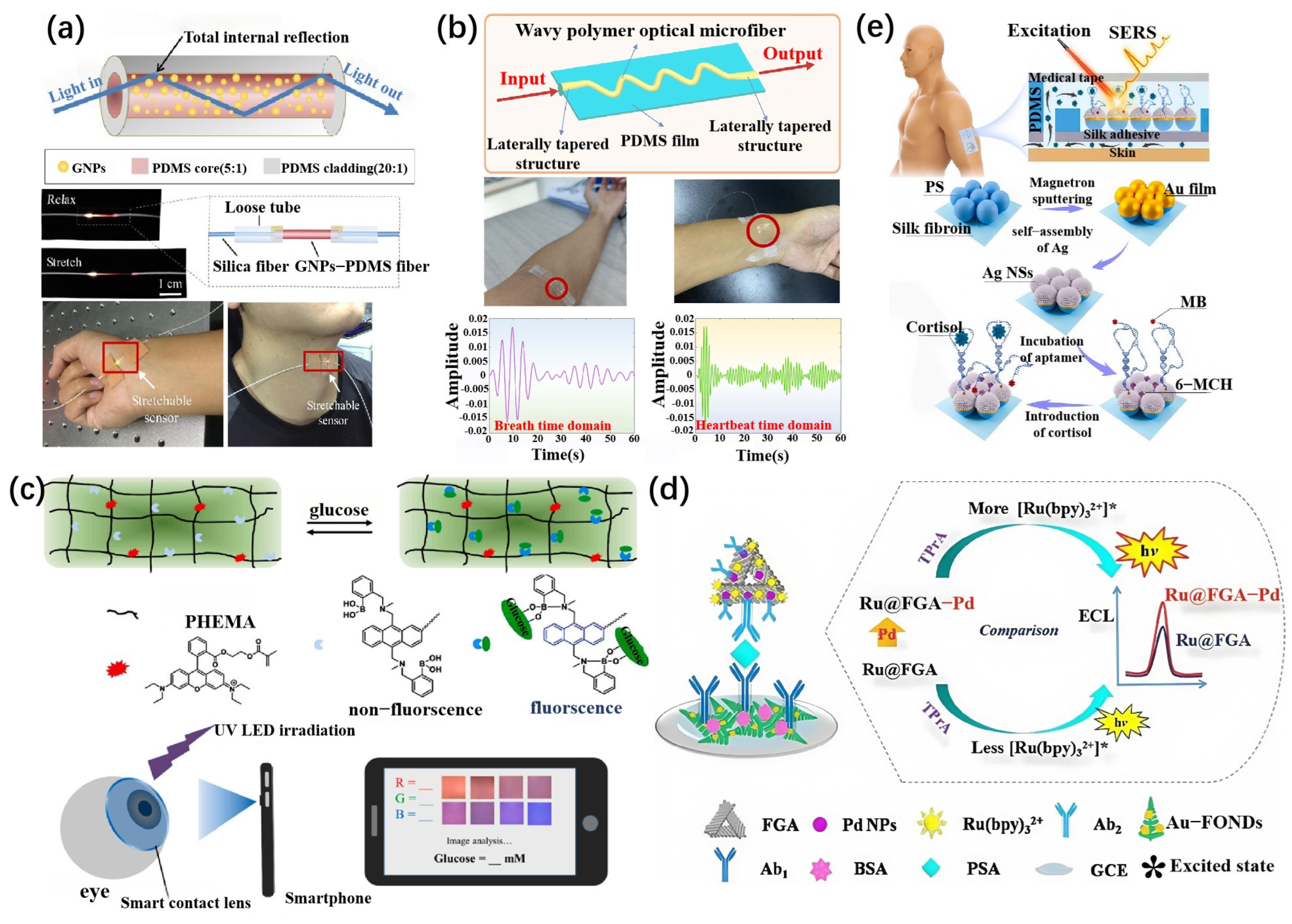 Biosensors 15 00611 g003 Biosensors 15 00611 g003