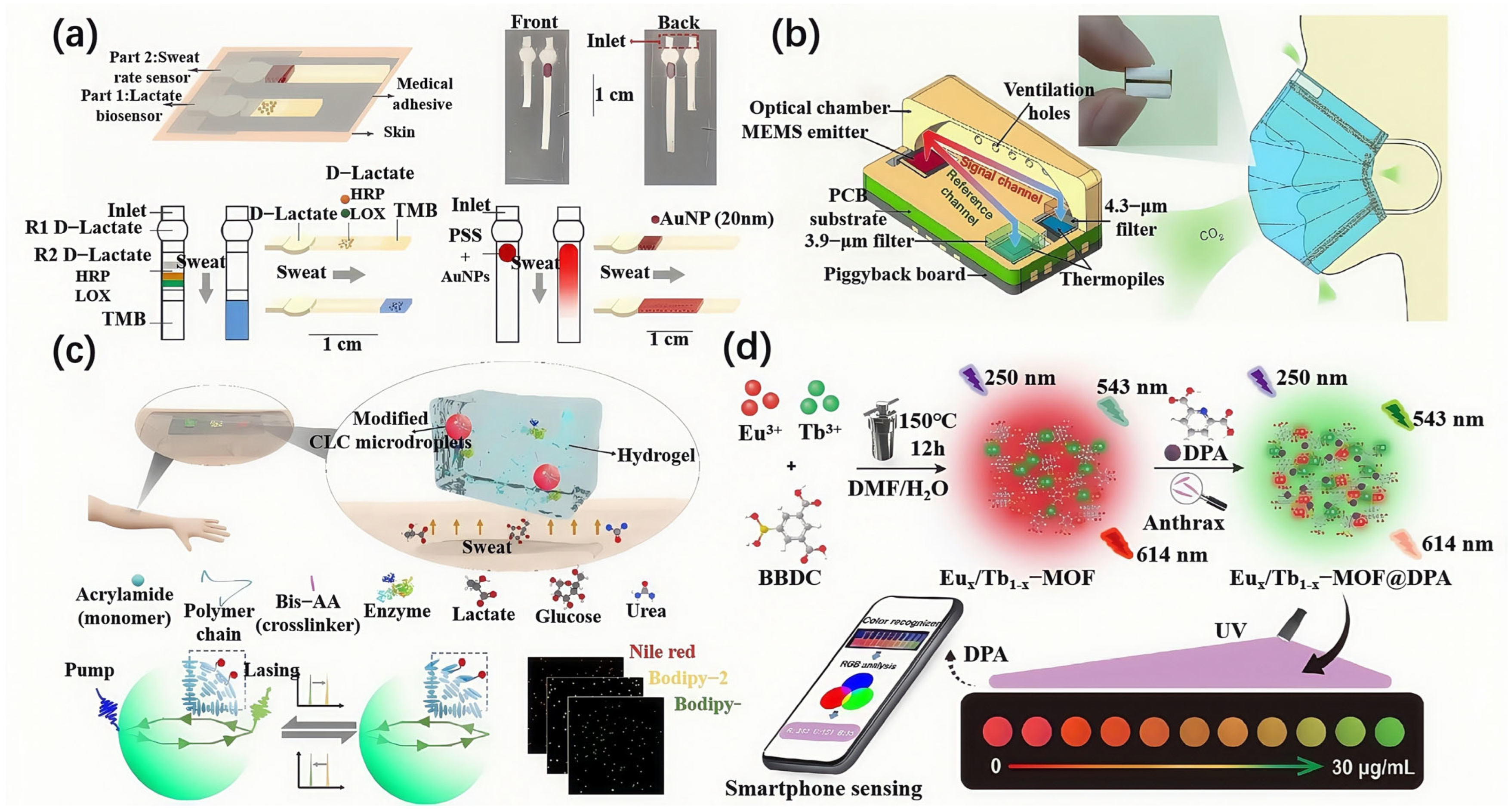 Biosensors 15 00611 g004 Biosensors 15 00611 g004