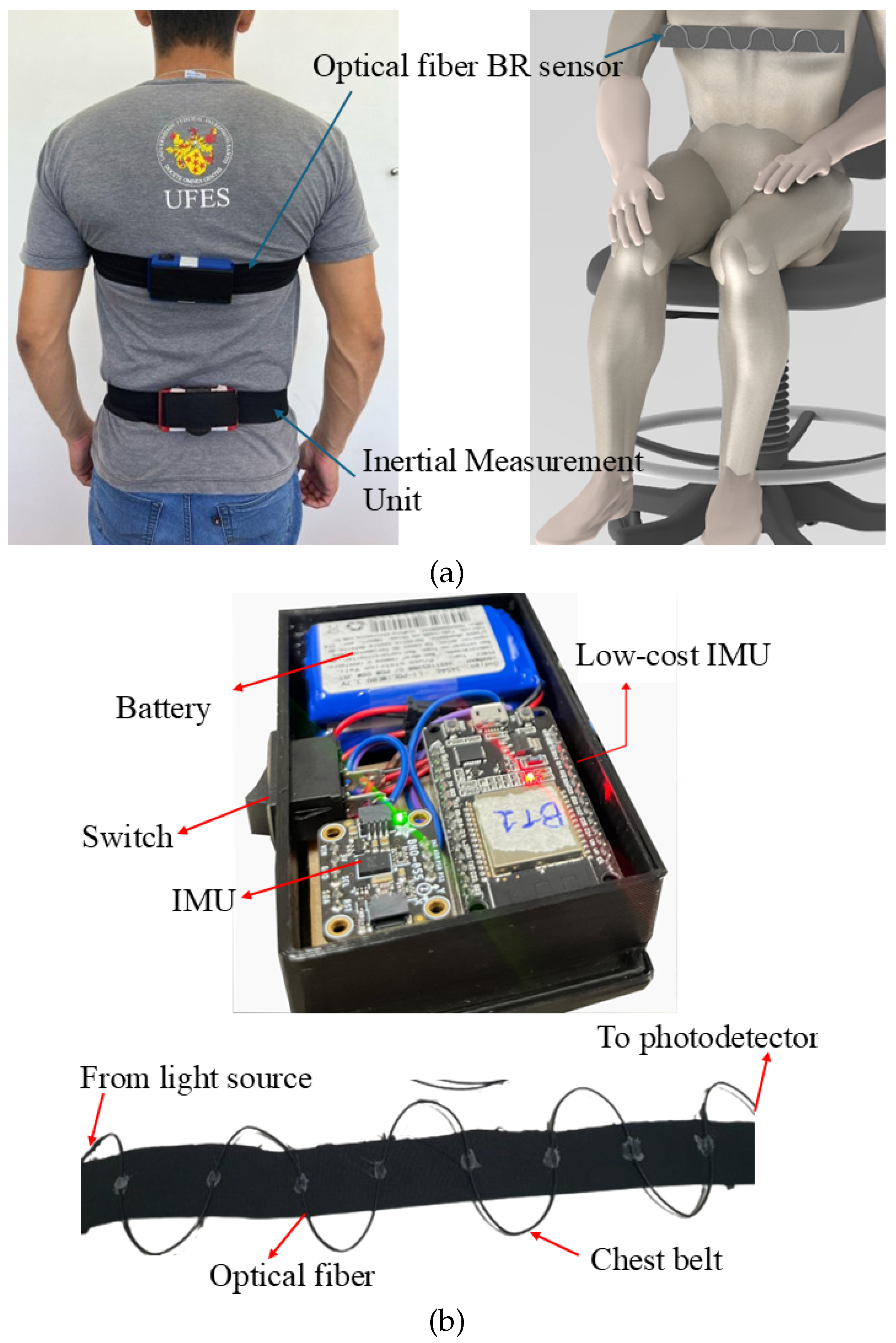 Biosensors 15 00612 g002 Biosensors 15 00612 g002