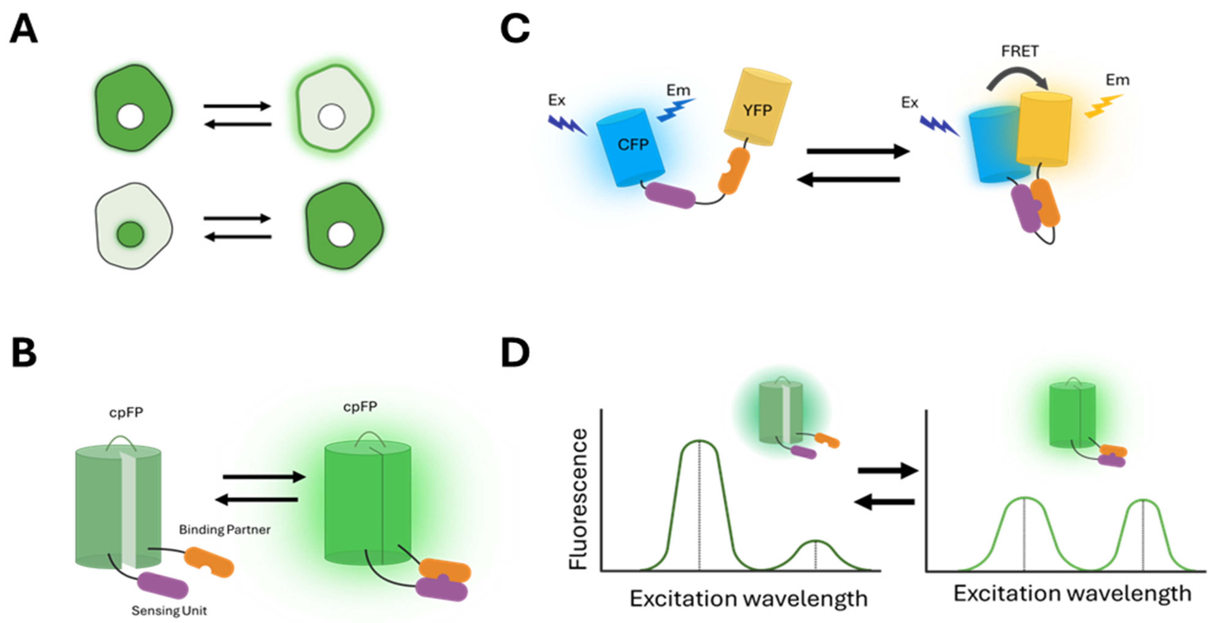 Biosensors 15 00614 g001