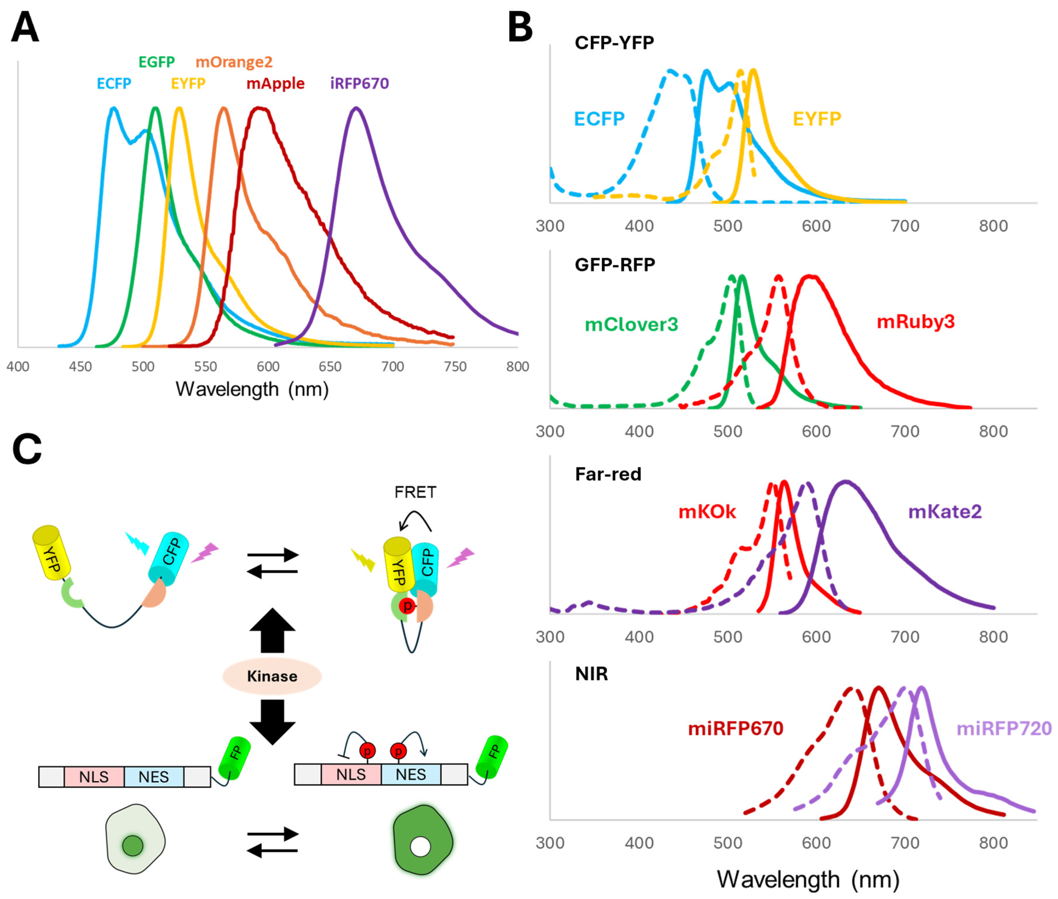 Biosensors 15 00614 g002