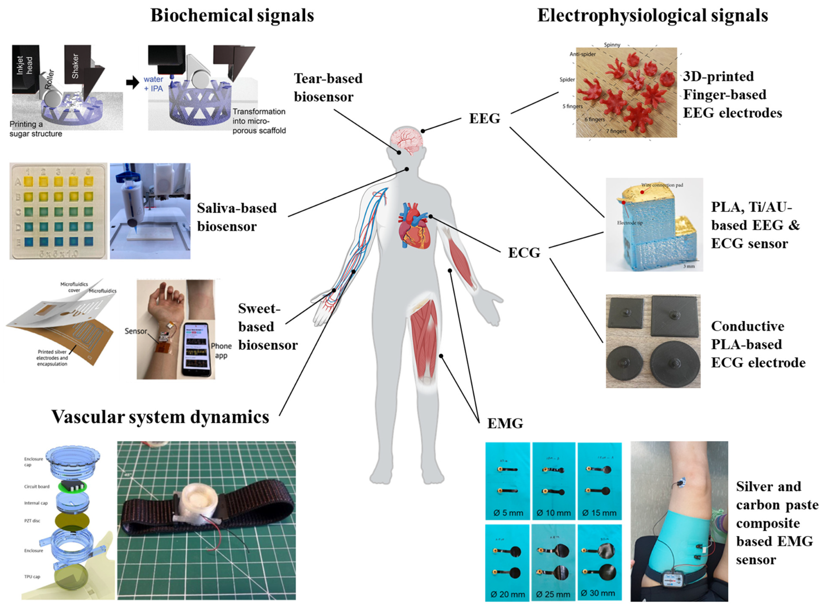 Biosensors 15 00619 g005