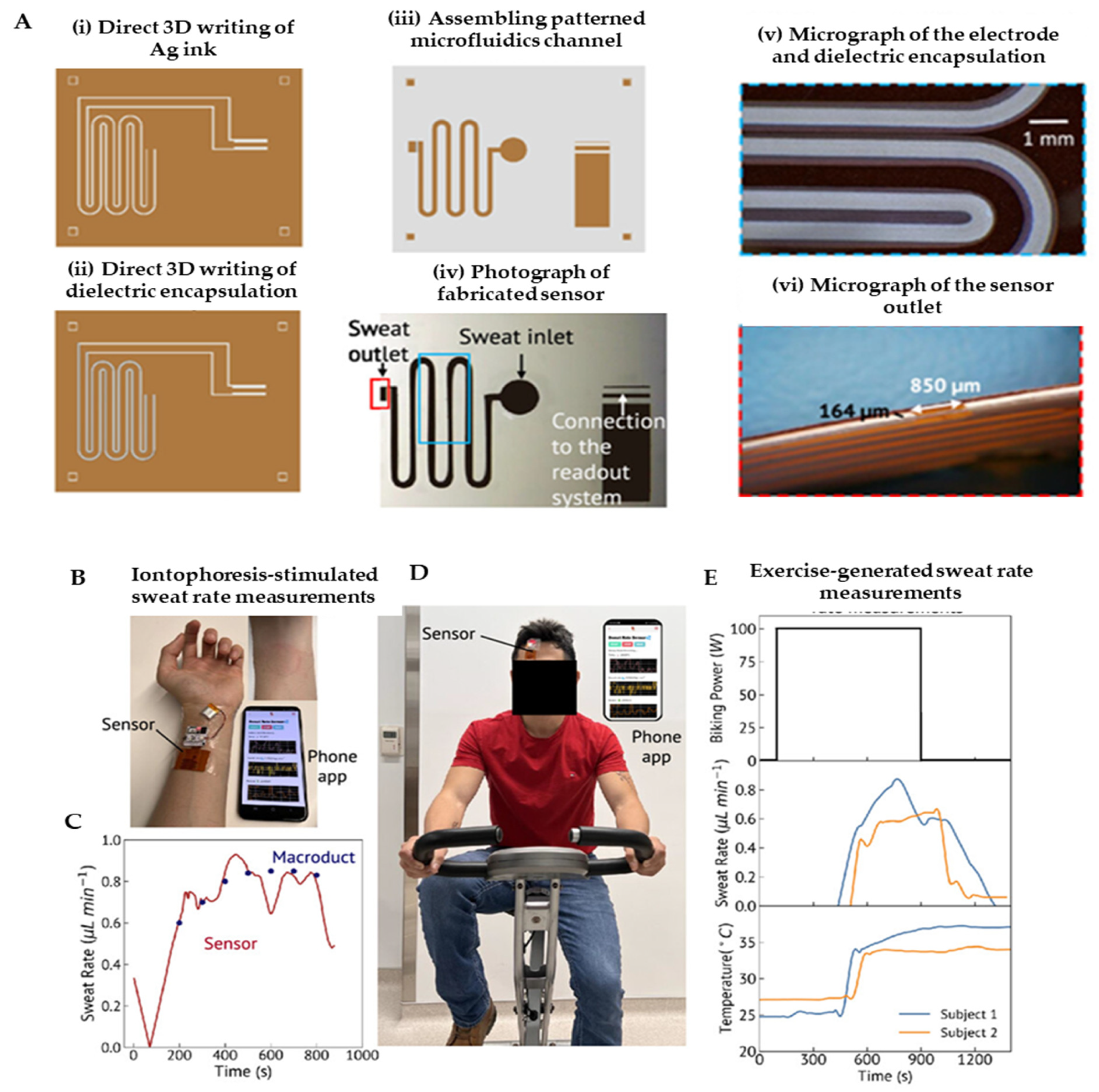 Biosensors 15 00619 g007