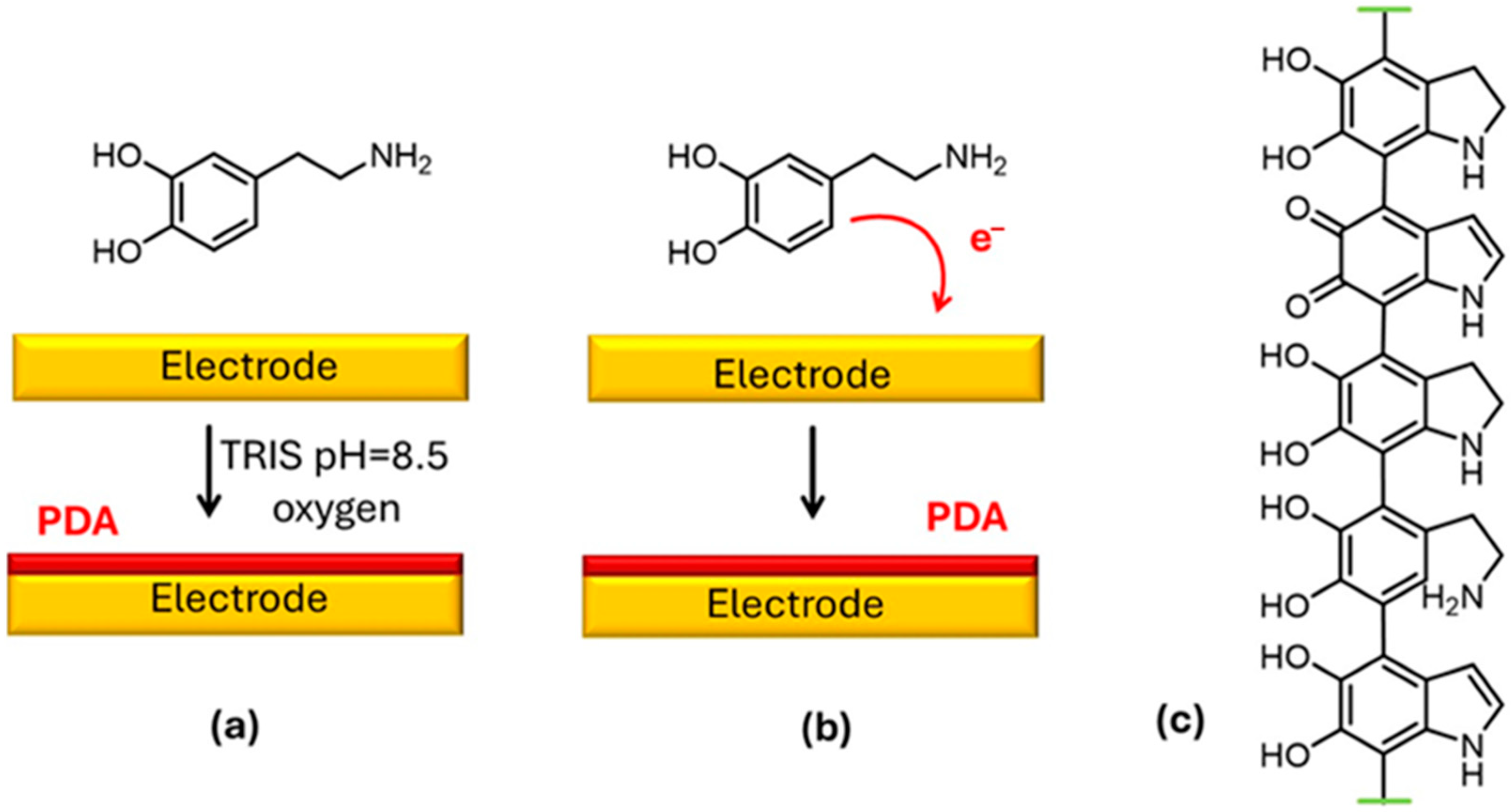 Biosensors 15 00631 g001 Biosensors 15 00631 g001